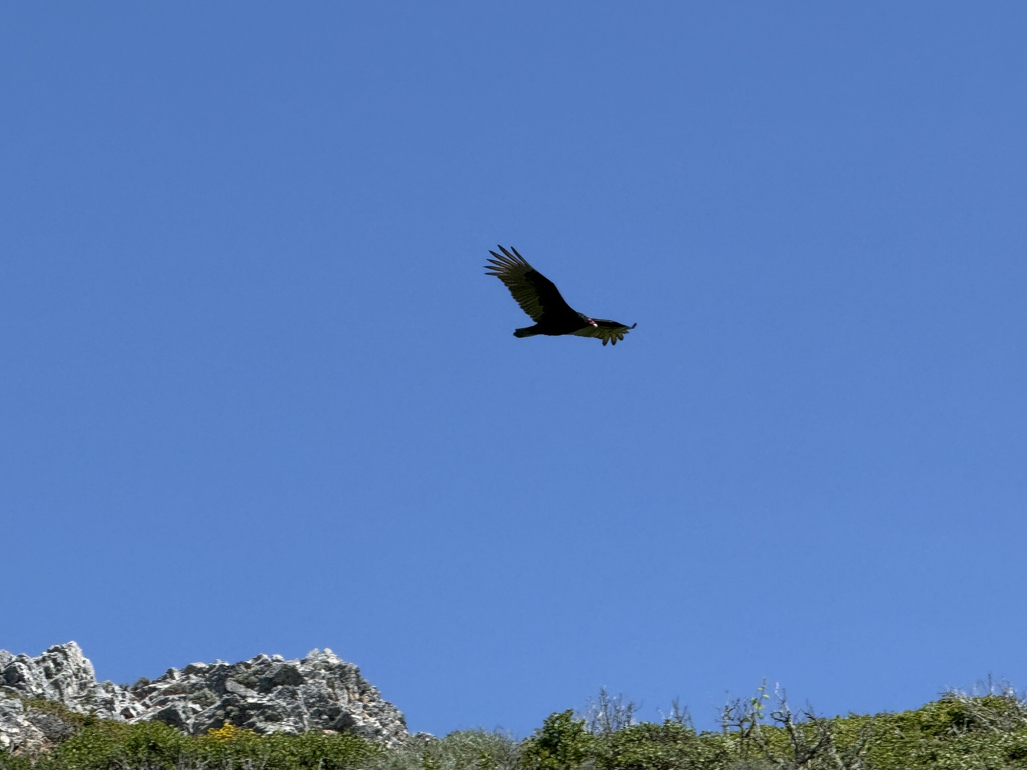 Brooks Island Regional Preserve