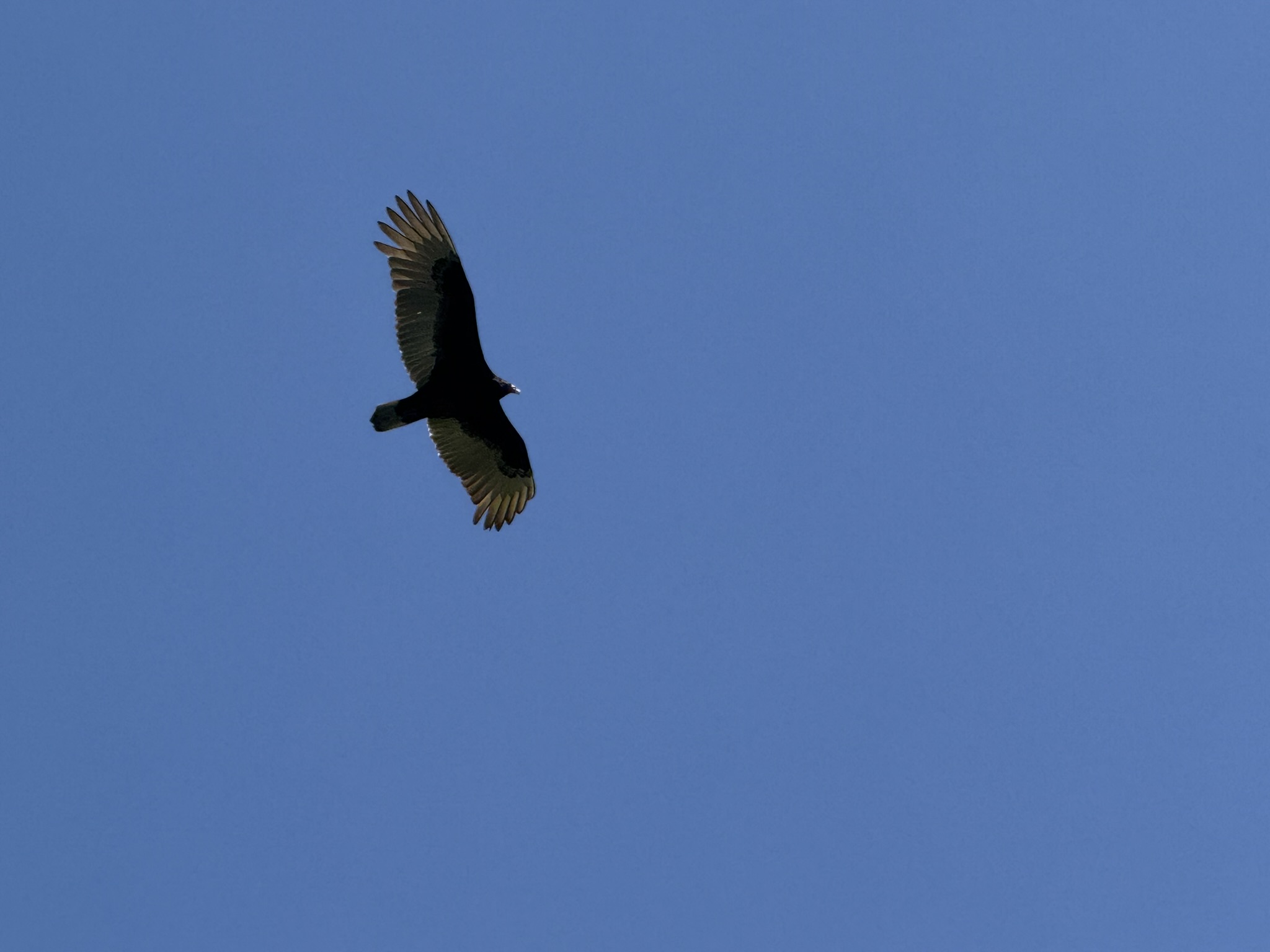 Brooks Island Regional Preserve