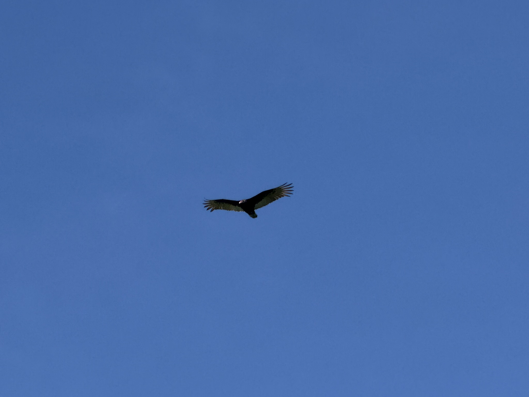 Brooks Island Regional Preserve