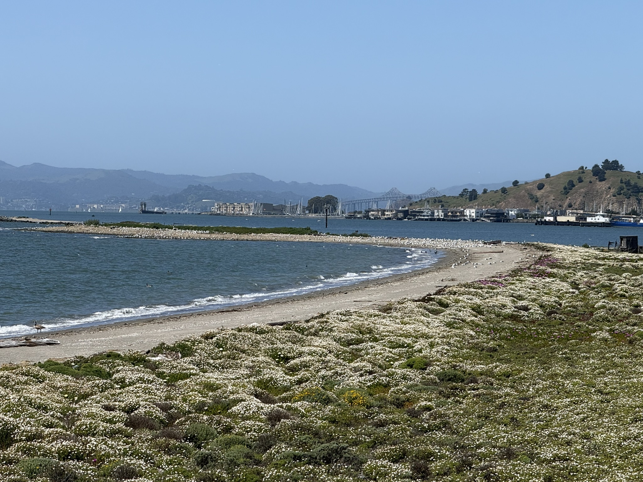 Brooks Island Regional Preserve