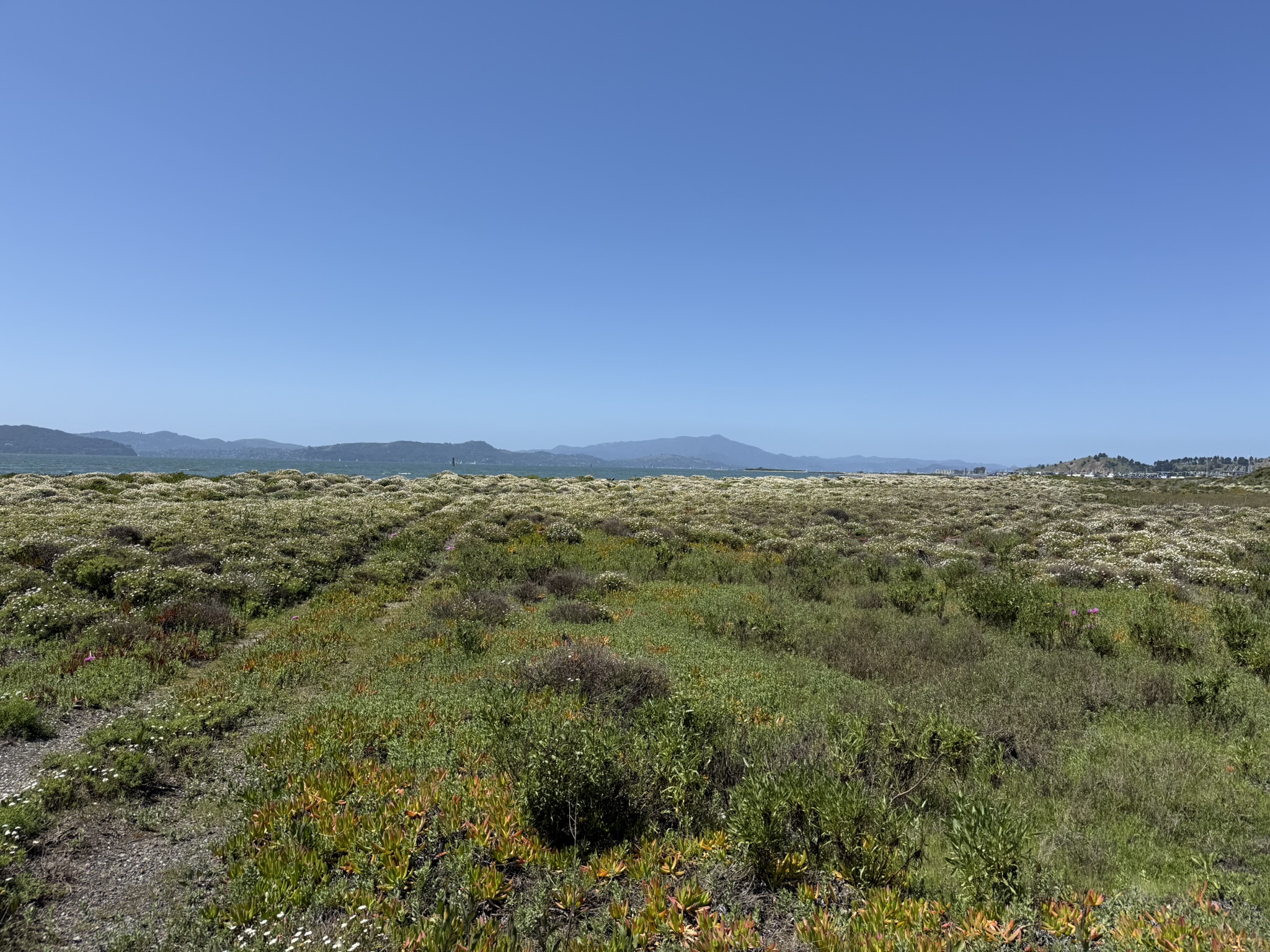 Brooks Island Regional Preserve