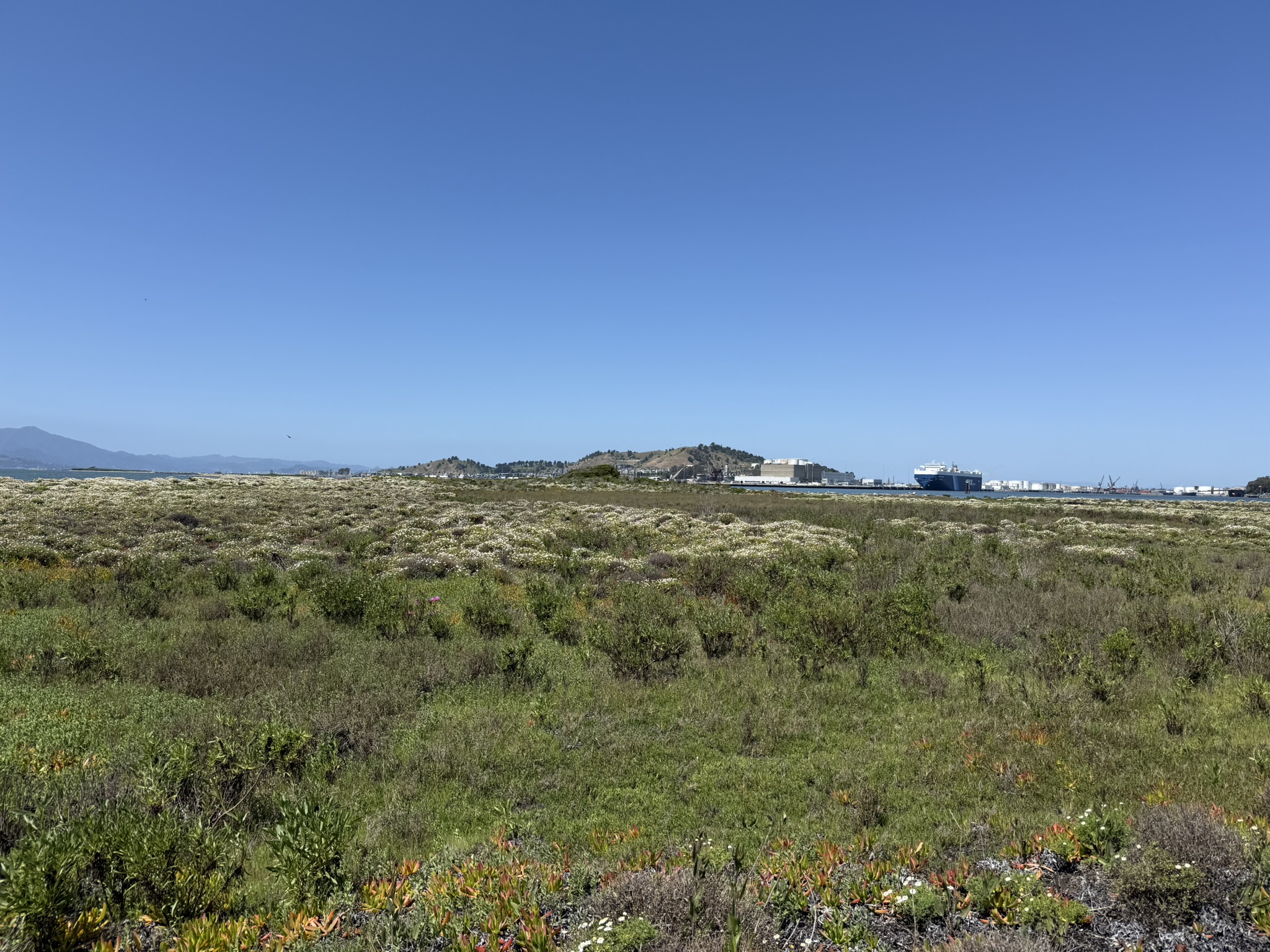 Brooks Island Regional Preserve
