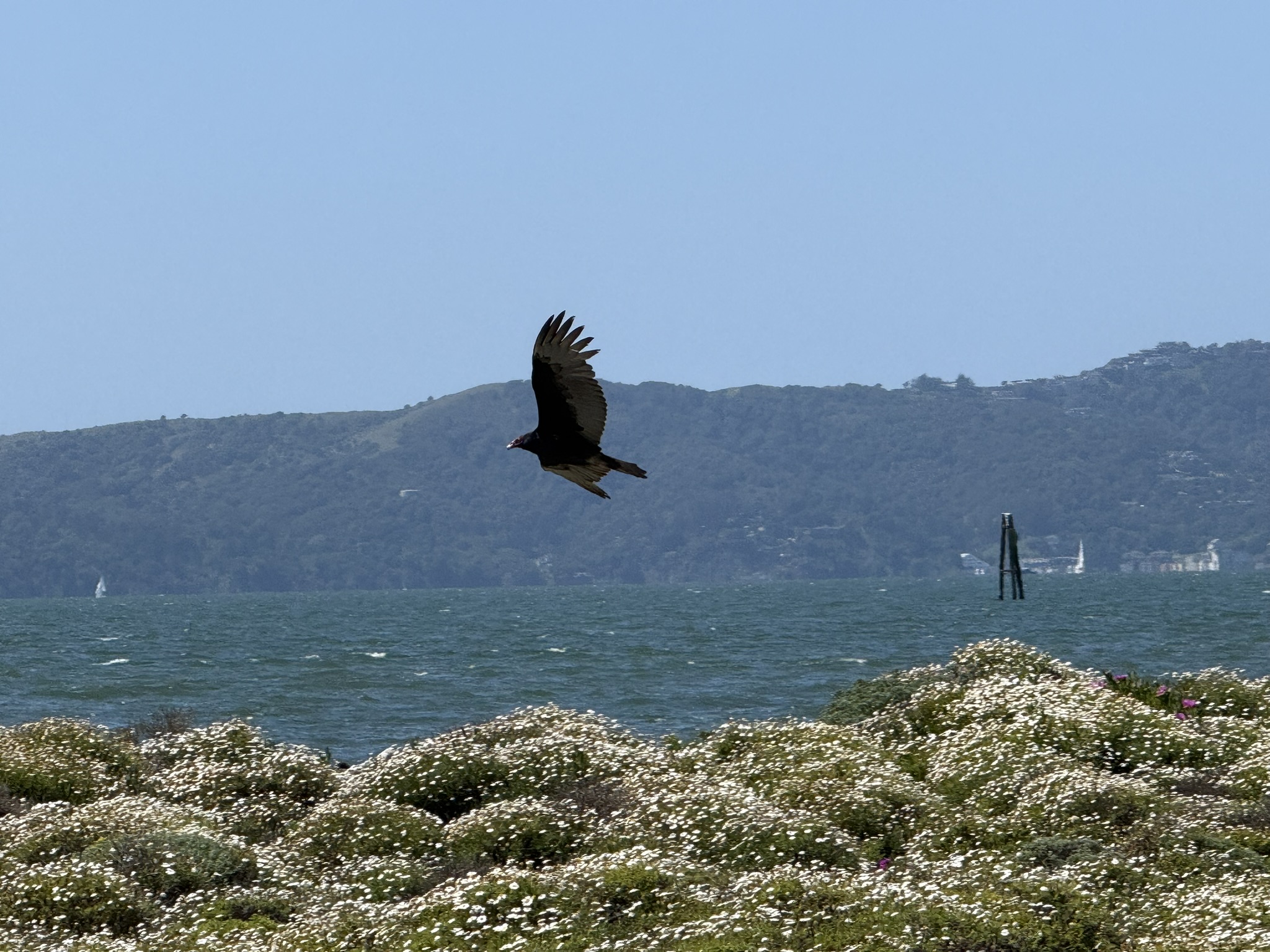 Brooks Island Regional Preserve