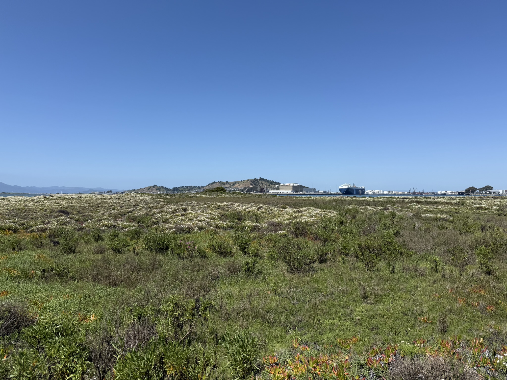 Brooks Island Regional Preserve