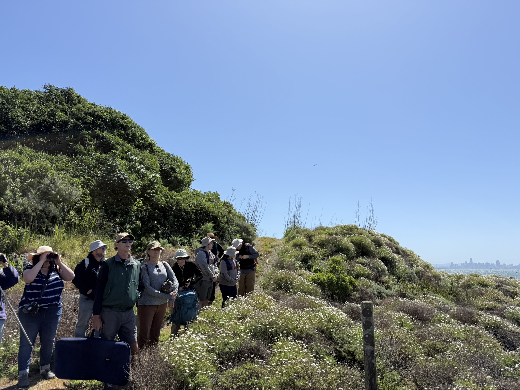 Brooks Island Regional Preserve
