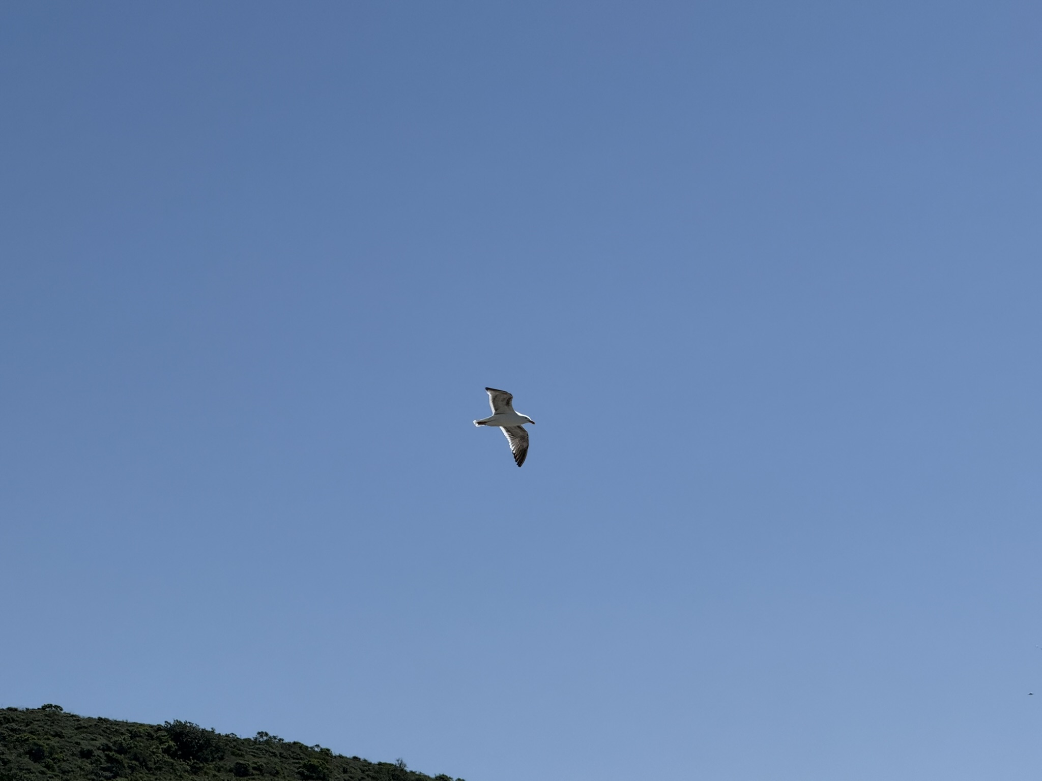 Brooks Island Regional Preserve