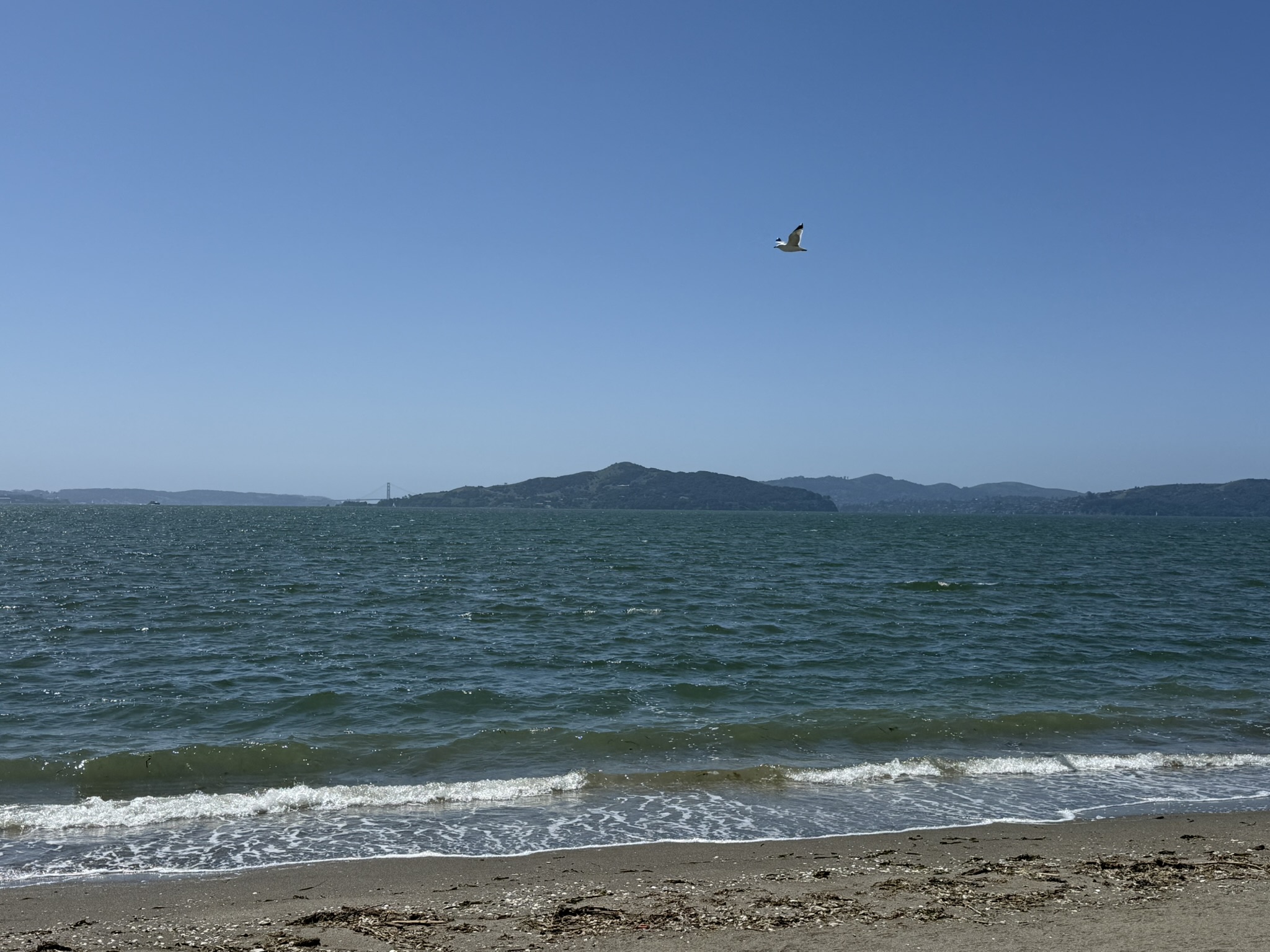 Brooks Island Regional Preserve