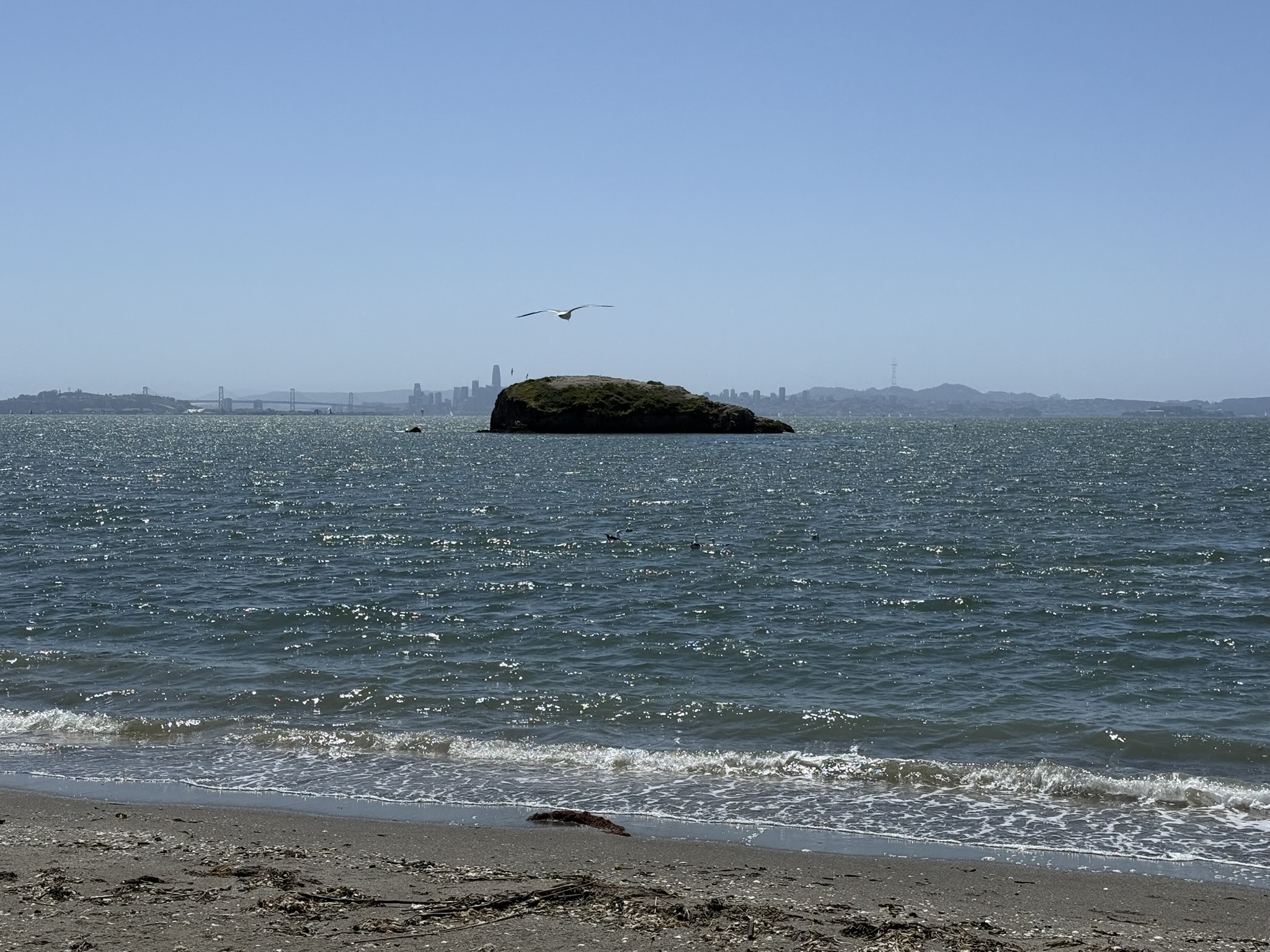 Brooks Island Regional Preserve
