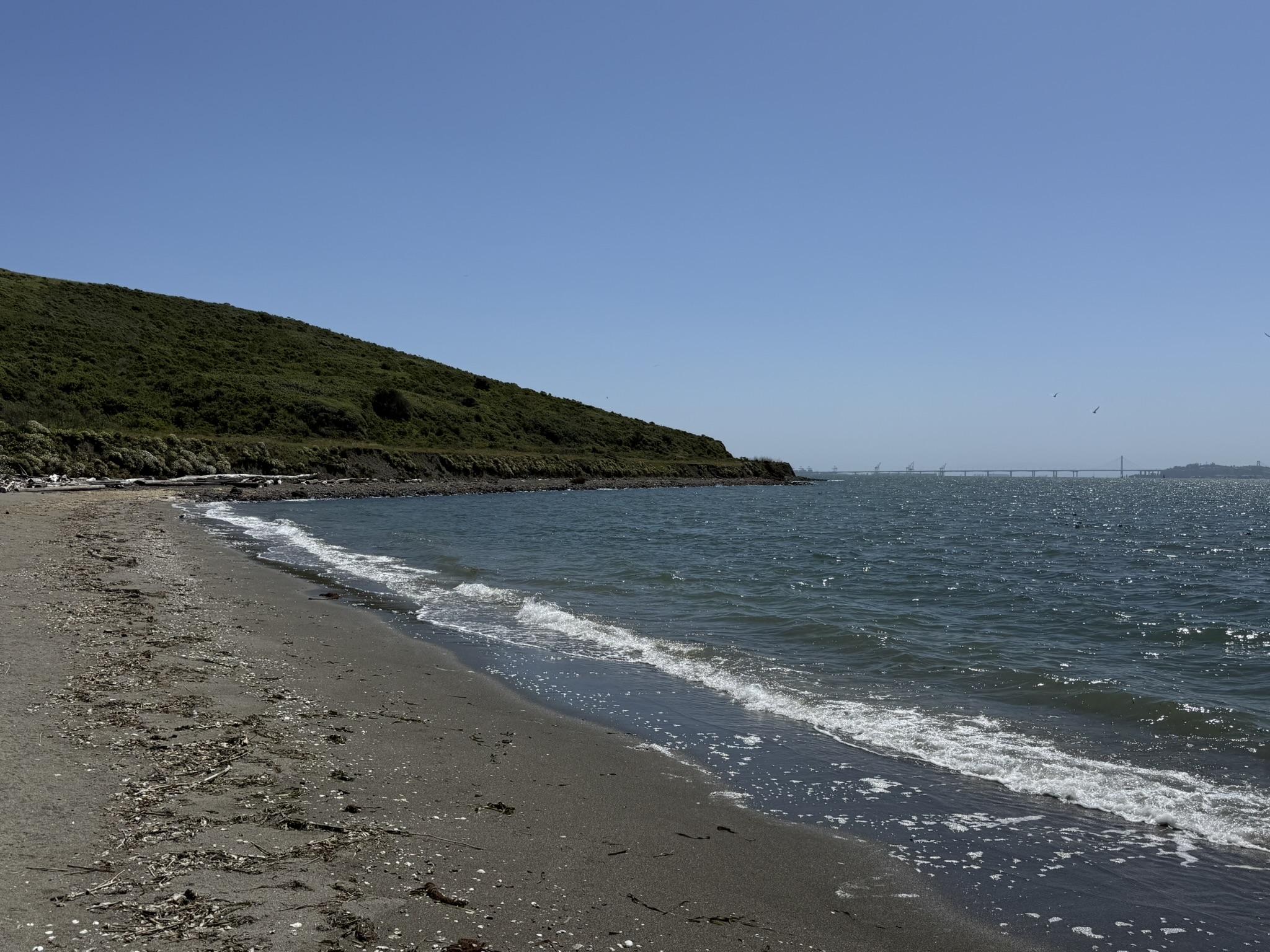 Brooks Island Regional Preserve