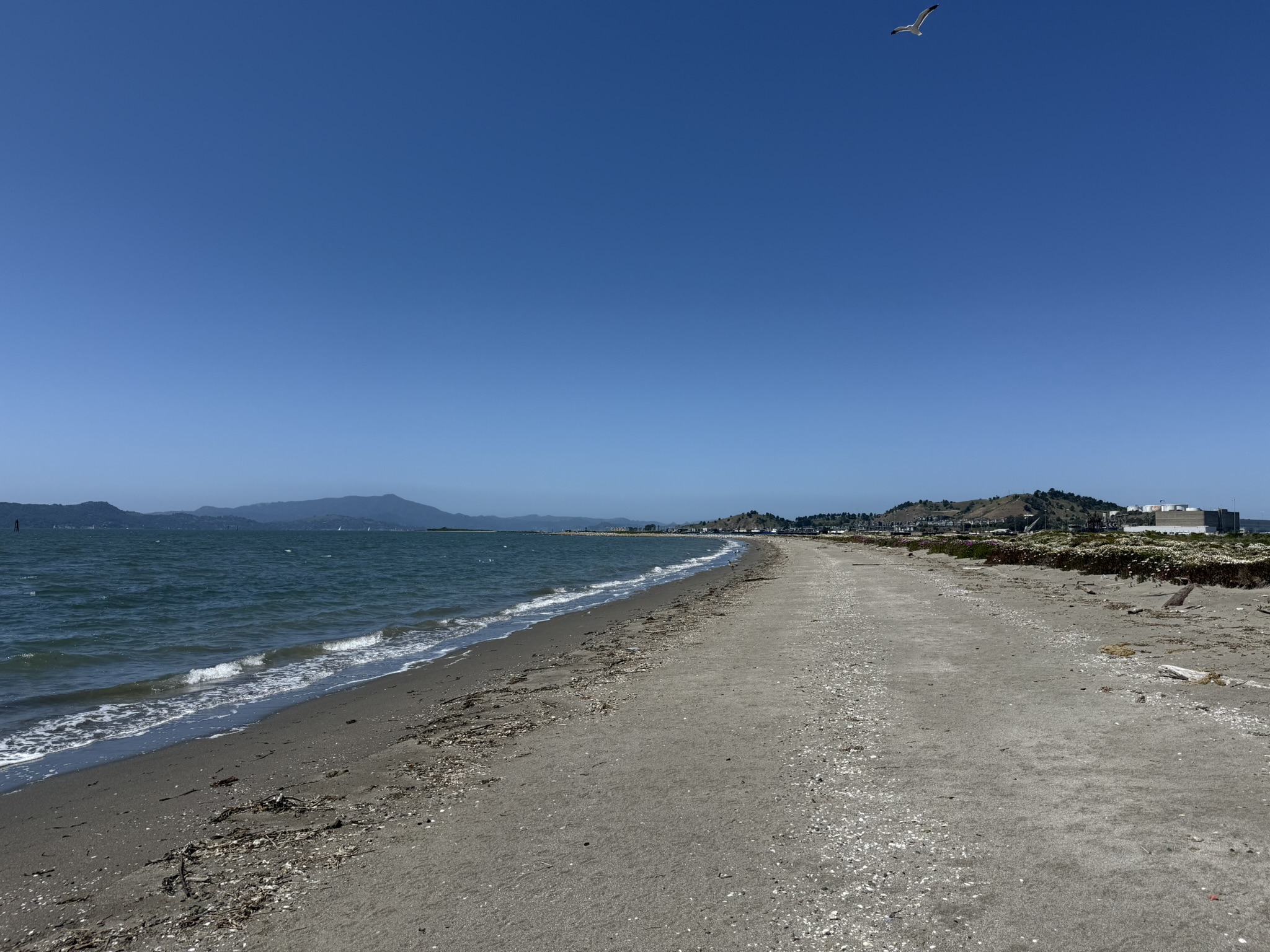 Brooks Island Regional Preserve