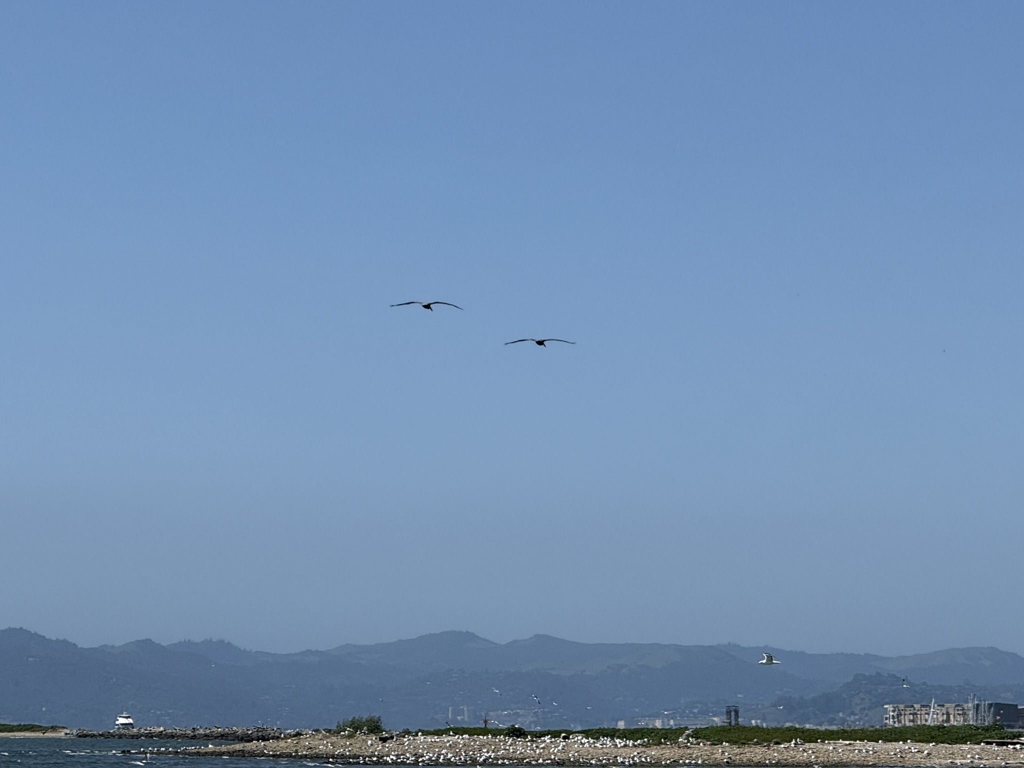 Brooks Island Regional Preserve