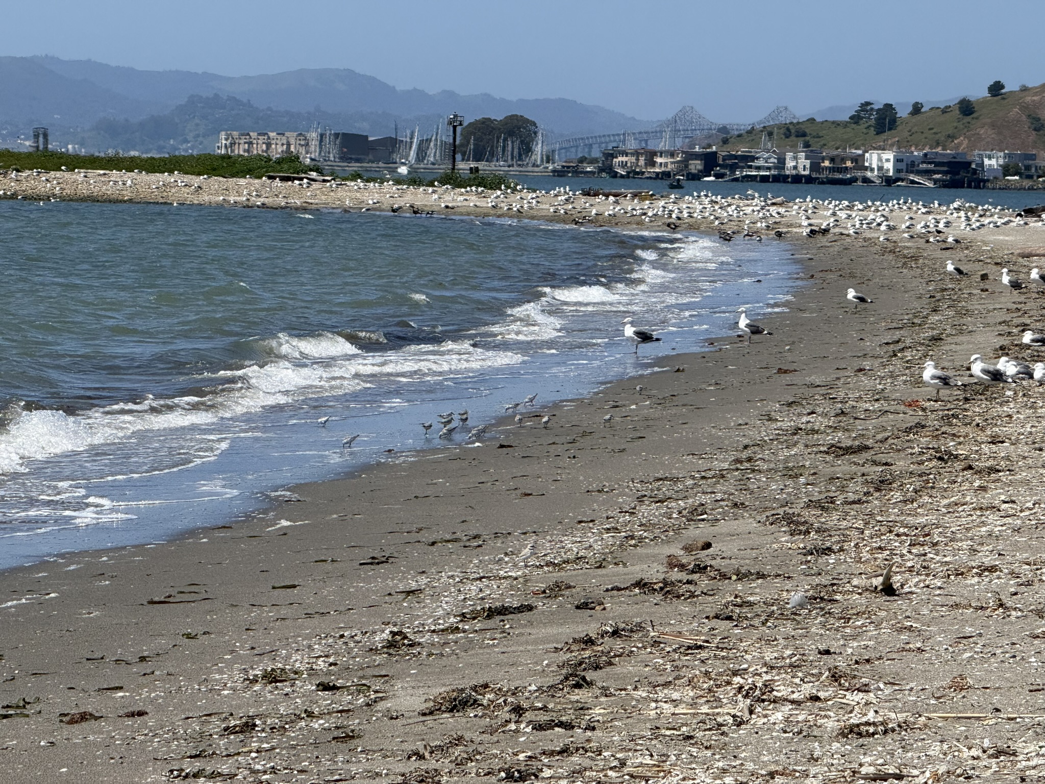 Brooks Island Regional Preserve