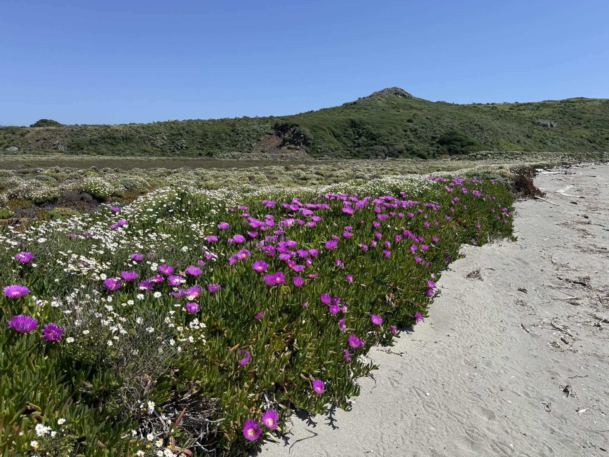 Brooks Island Regional Preserve