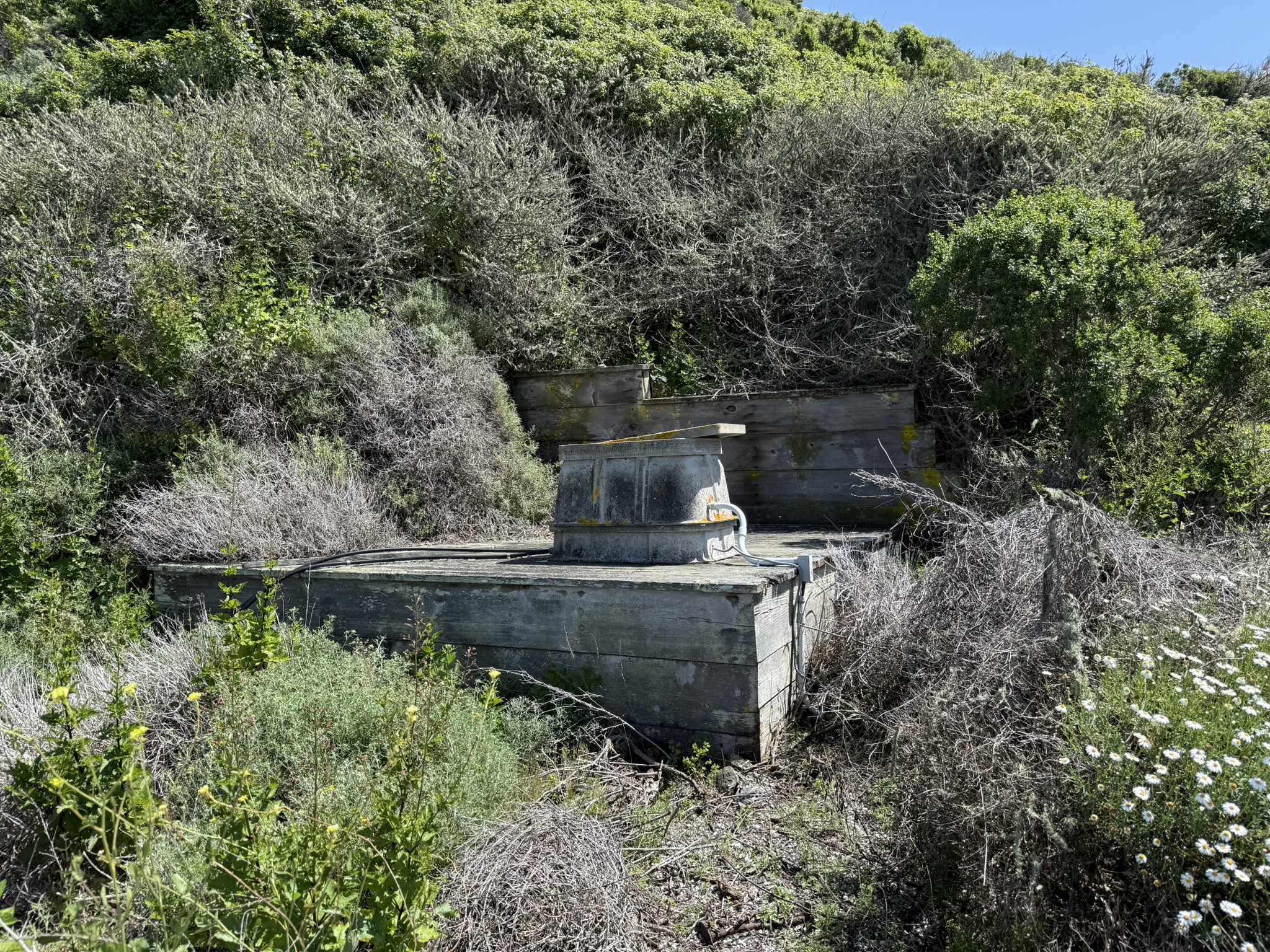Brooks Island Regional Preserve