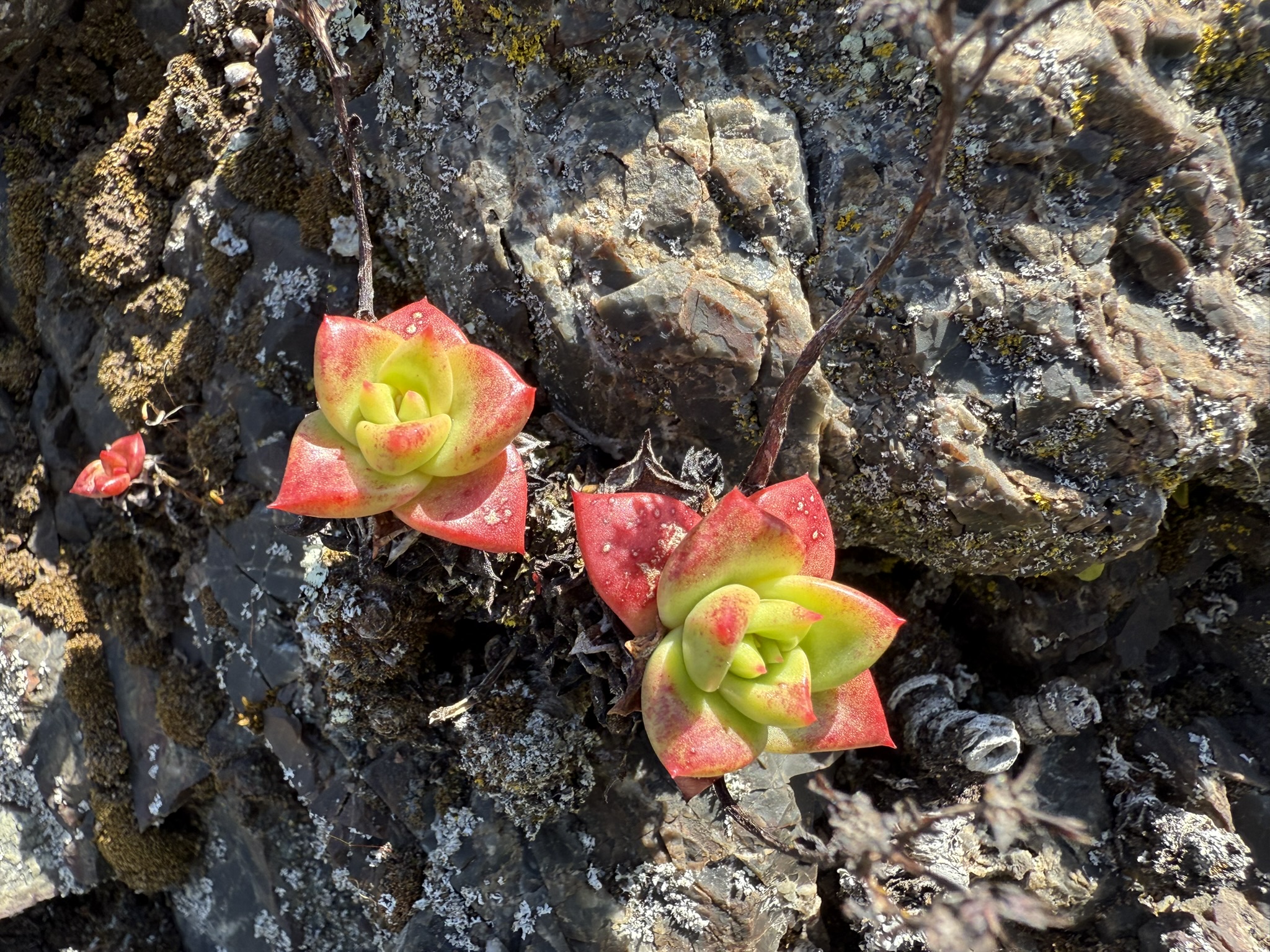 Brooks Island Regional Preserve