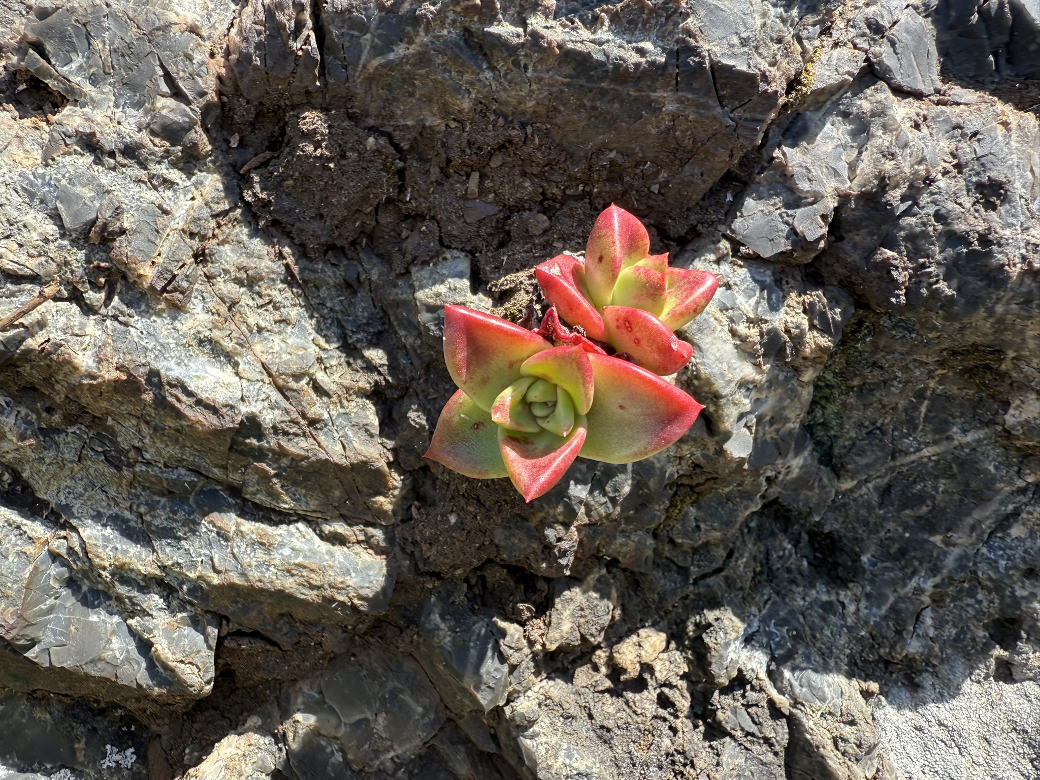 Brooks Island Regional Preserve