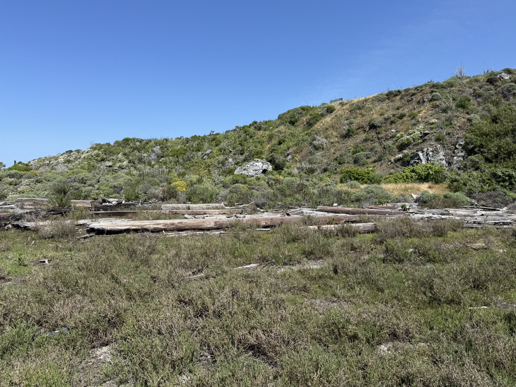 Brooks Island Regional Preserve