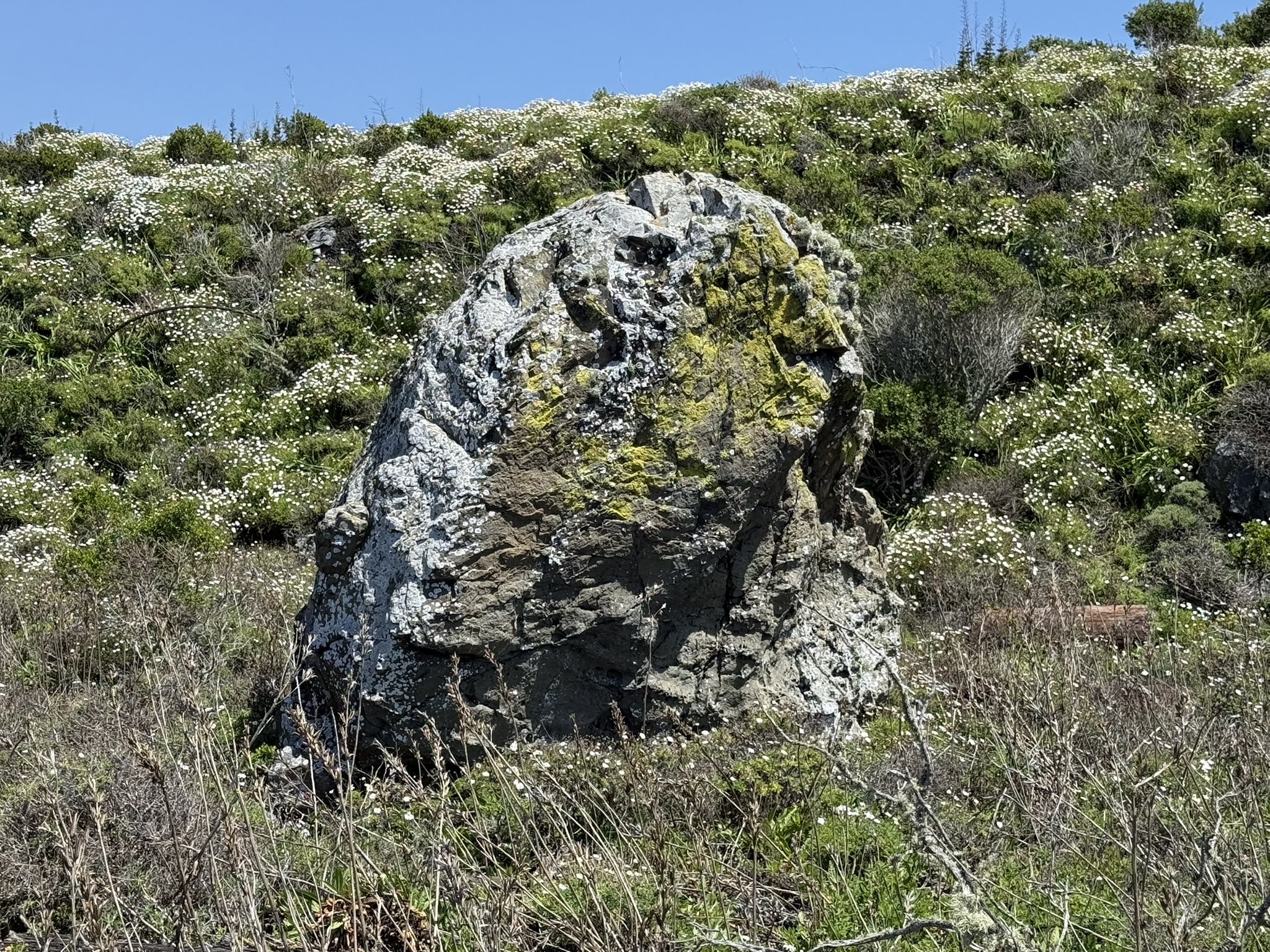 Brooks Island Regional Preserve