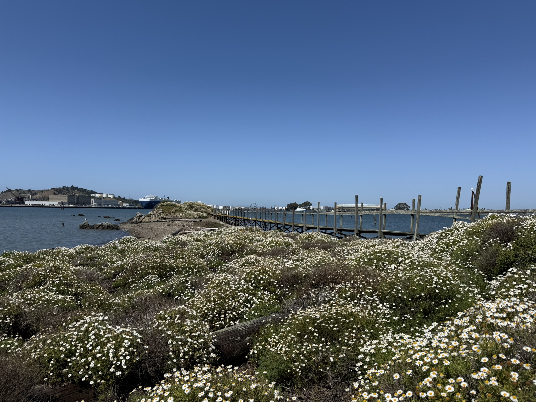 Brooks Island Regional Preserve