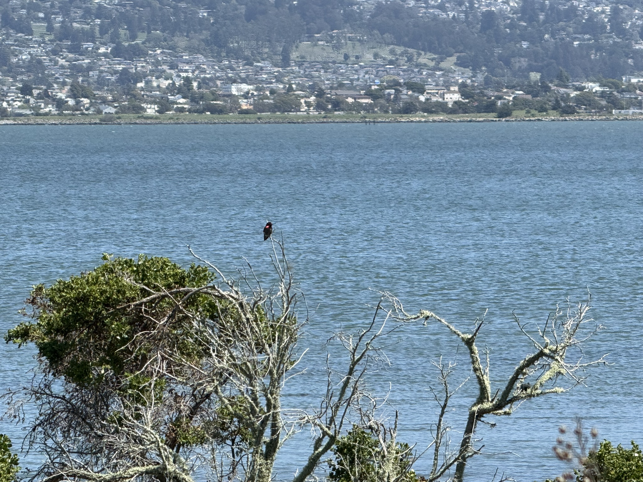 Brooks Island Regional Preserve