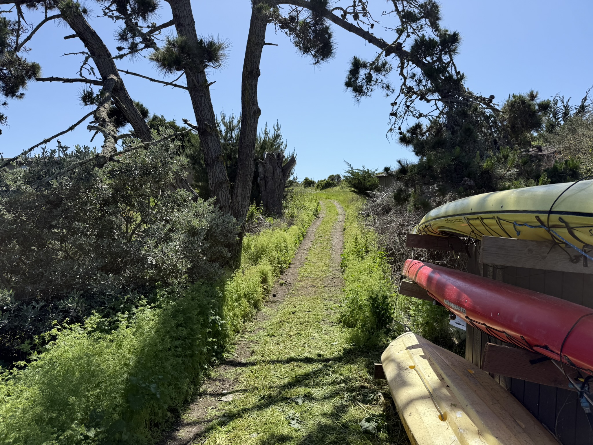 Brooks Island Regional Preserve