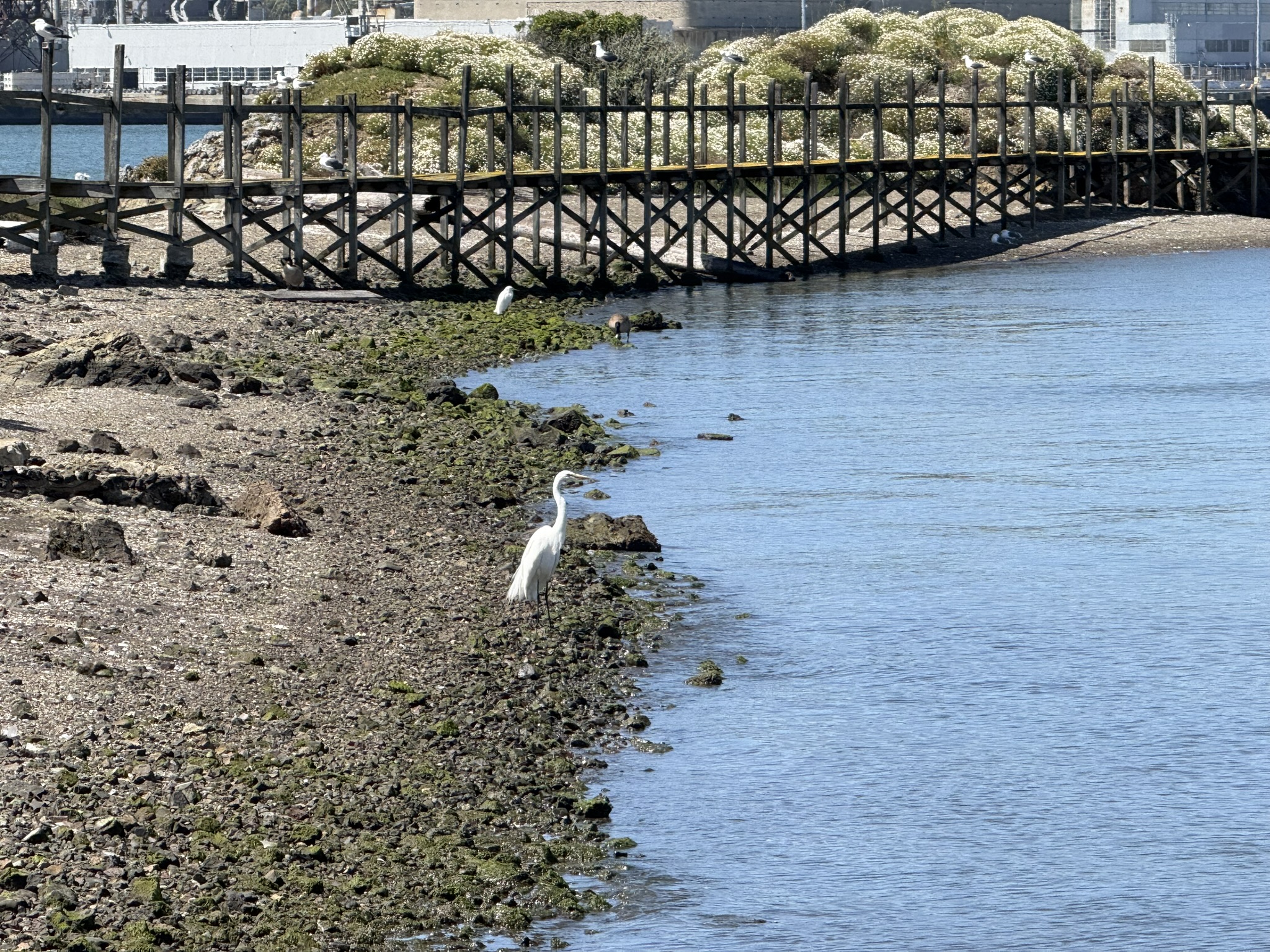 Brooks Island Regional Preserve