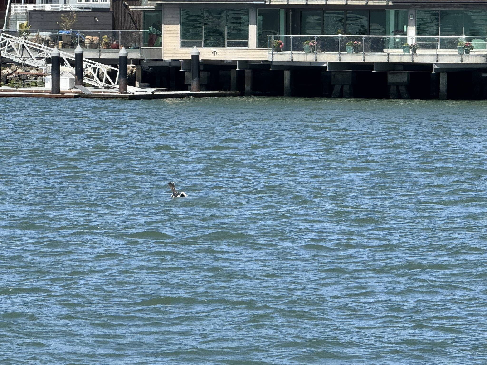 Brooks Island Regional Preserve