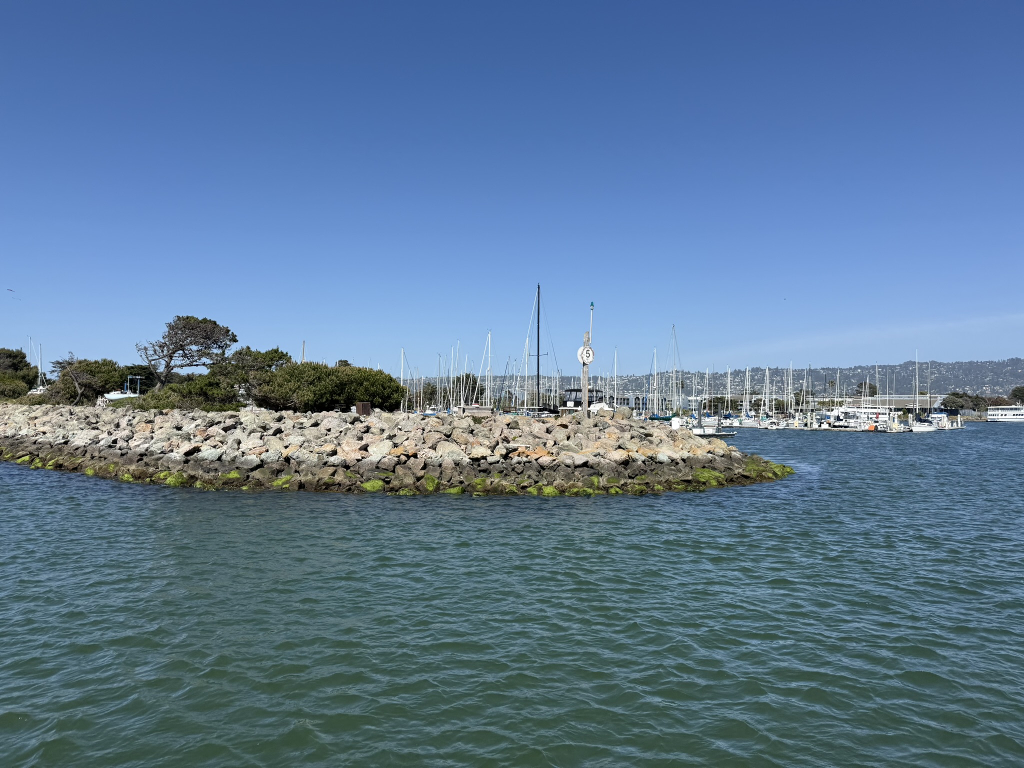 Brooks Island Regional Preserve