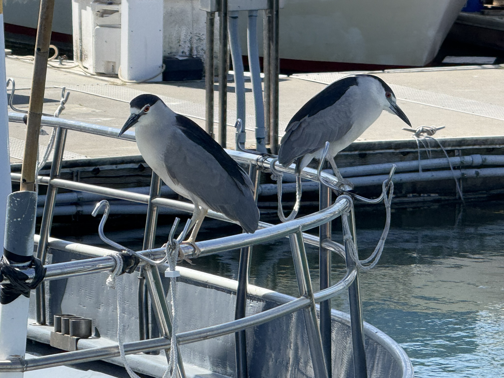 Brooks Island Regional Preserve