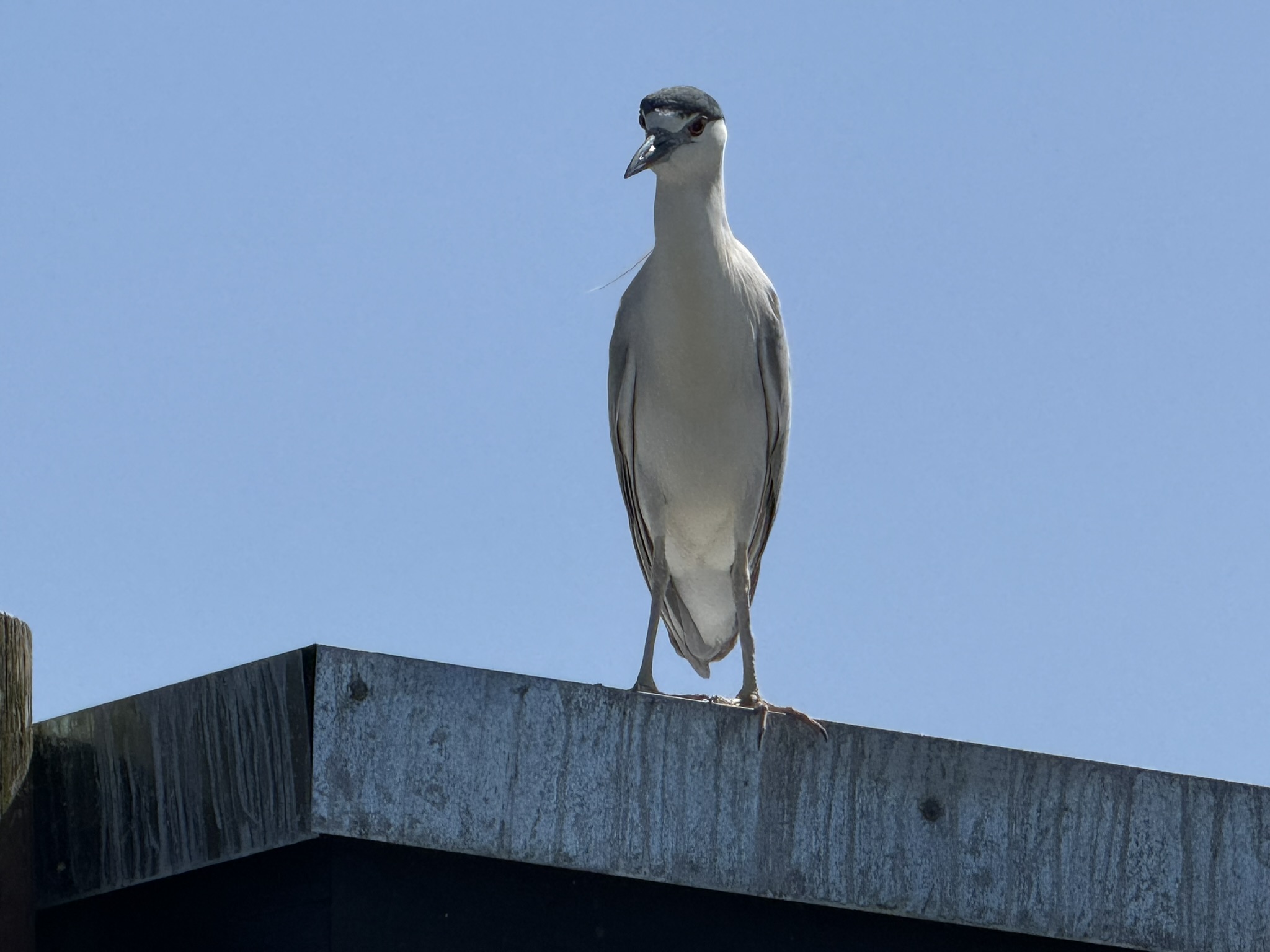 Brooks Island Regional Preserve