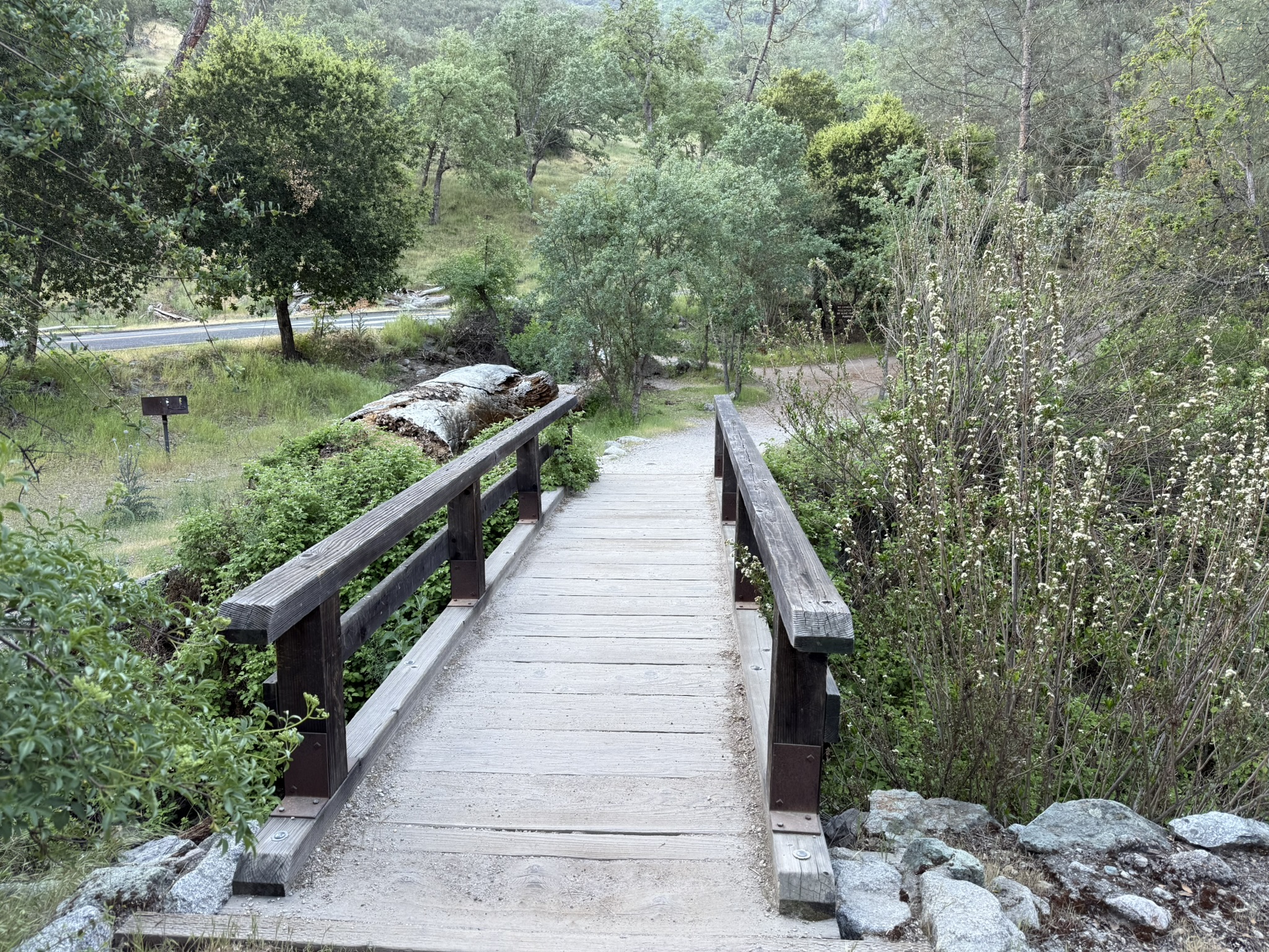 Pinnacles National Park