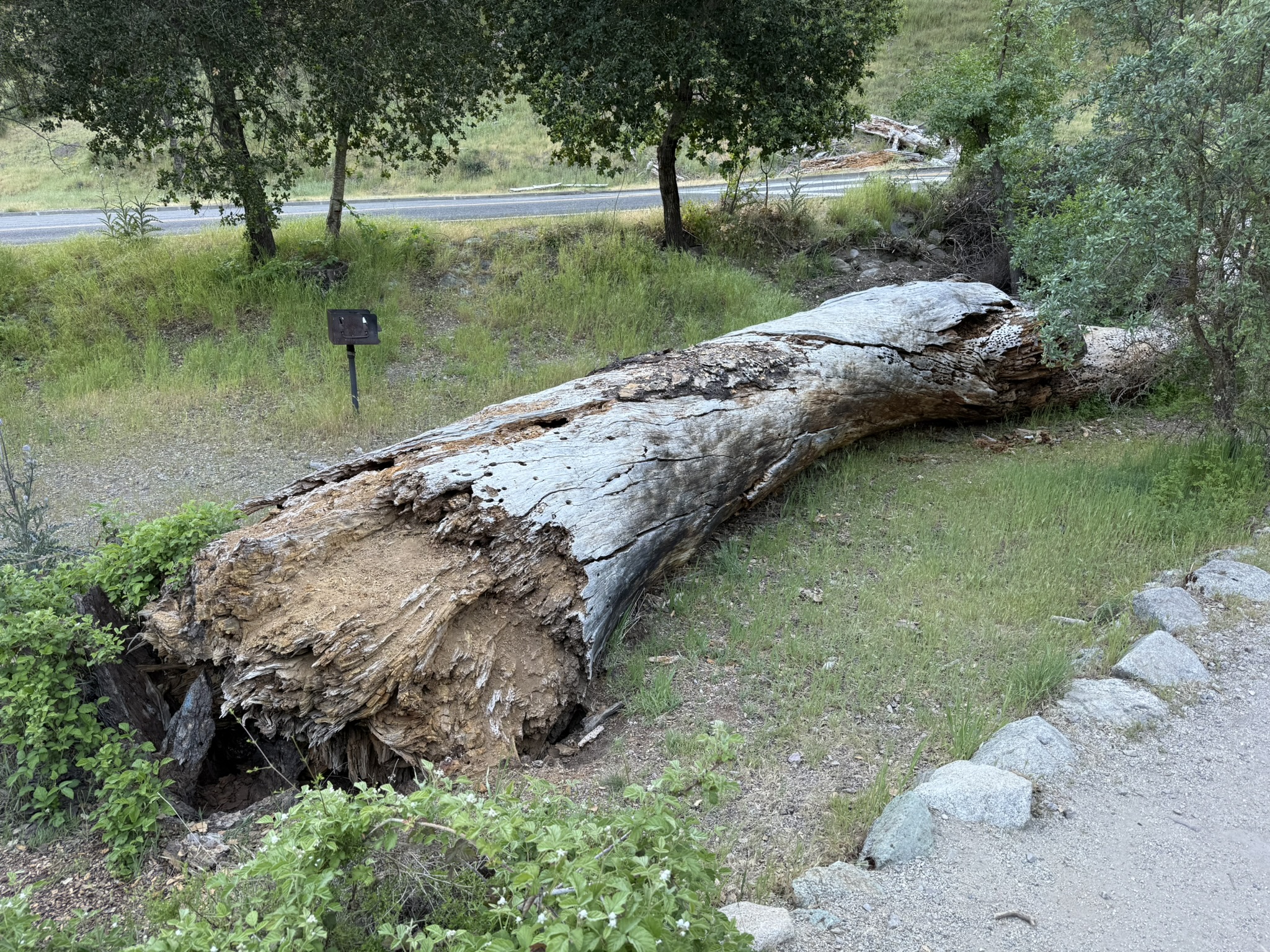 Pinnacles National Park
