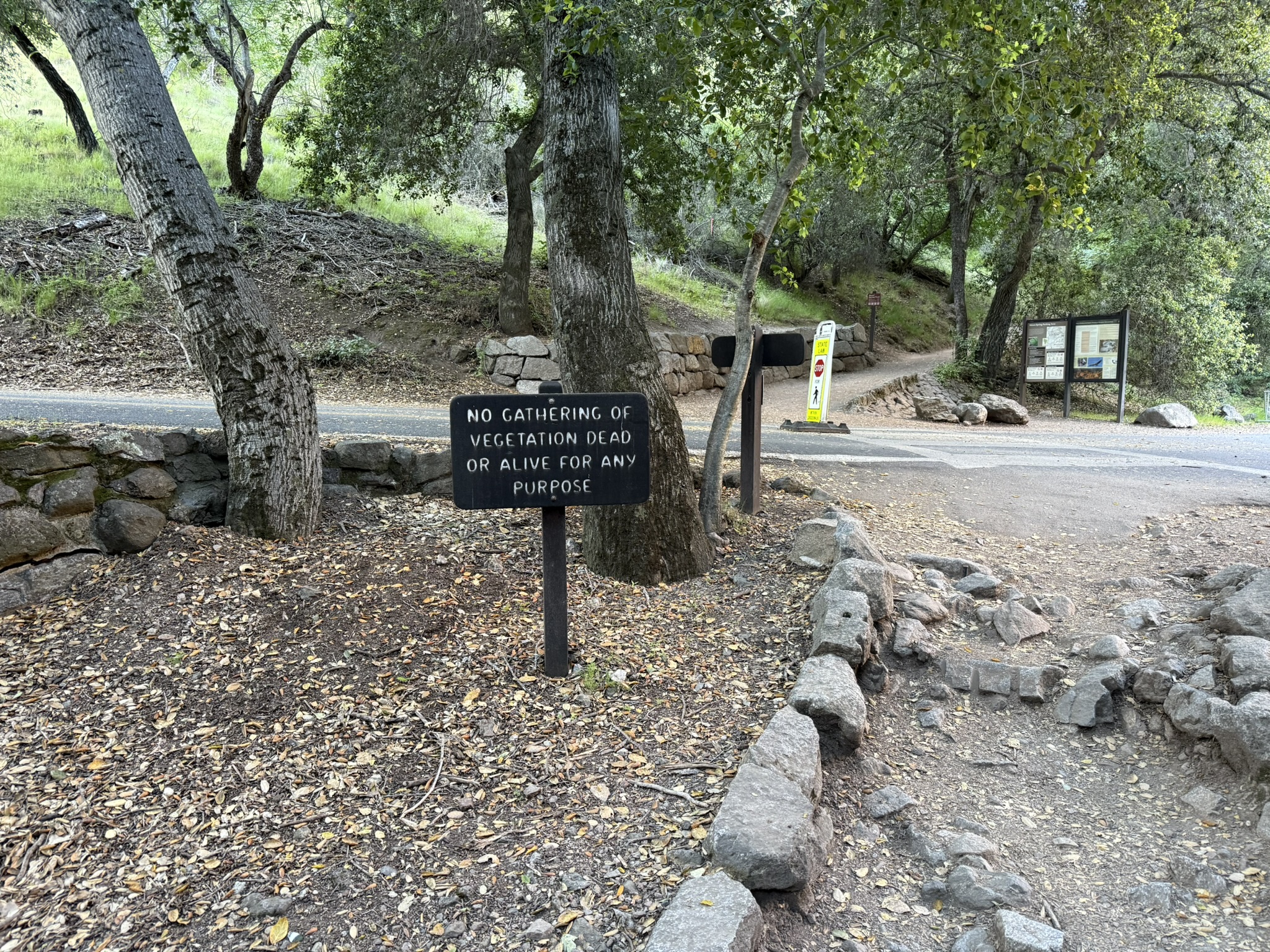 Pinnacles National Park