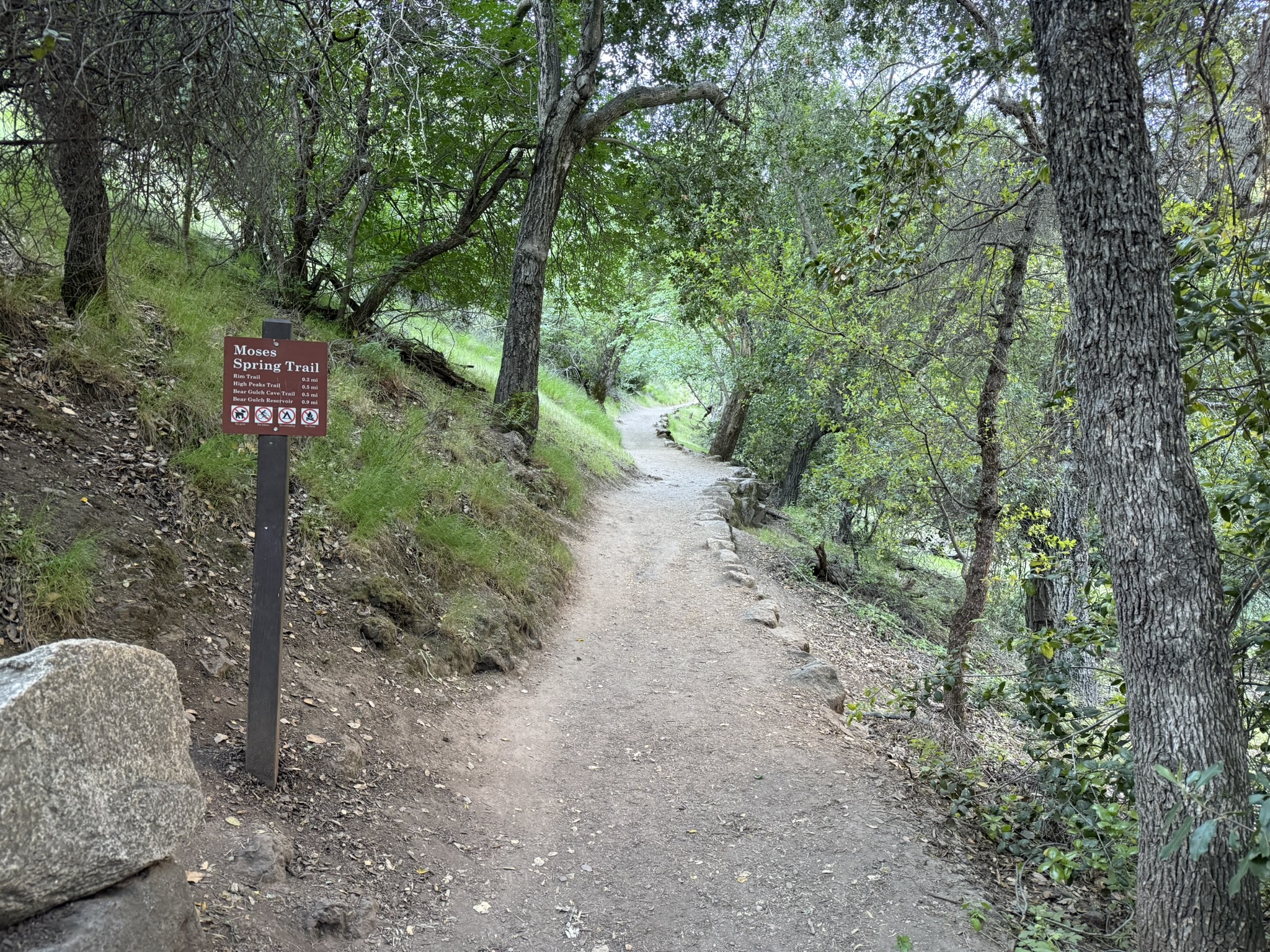 Pinnacles National Park