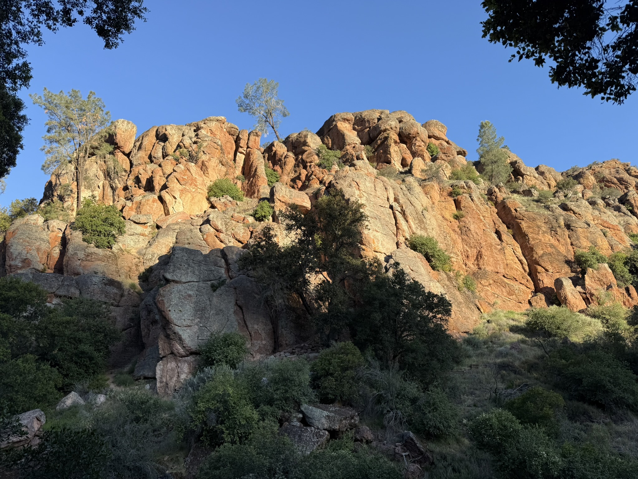 Pinnacles National Park