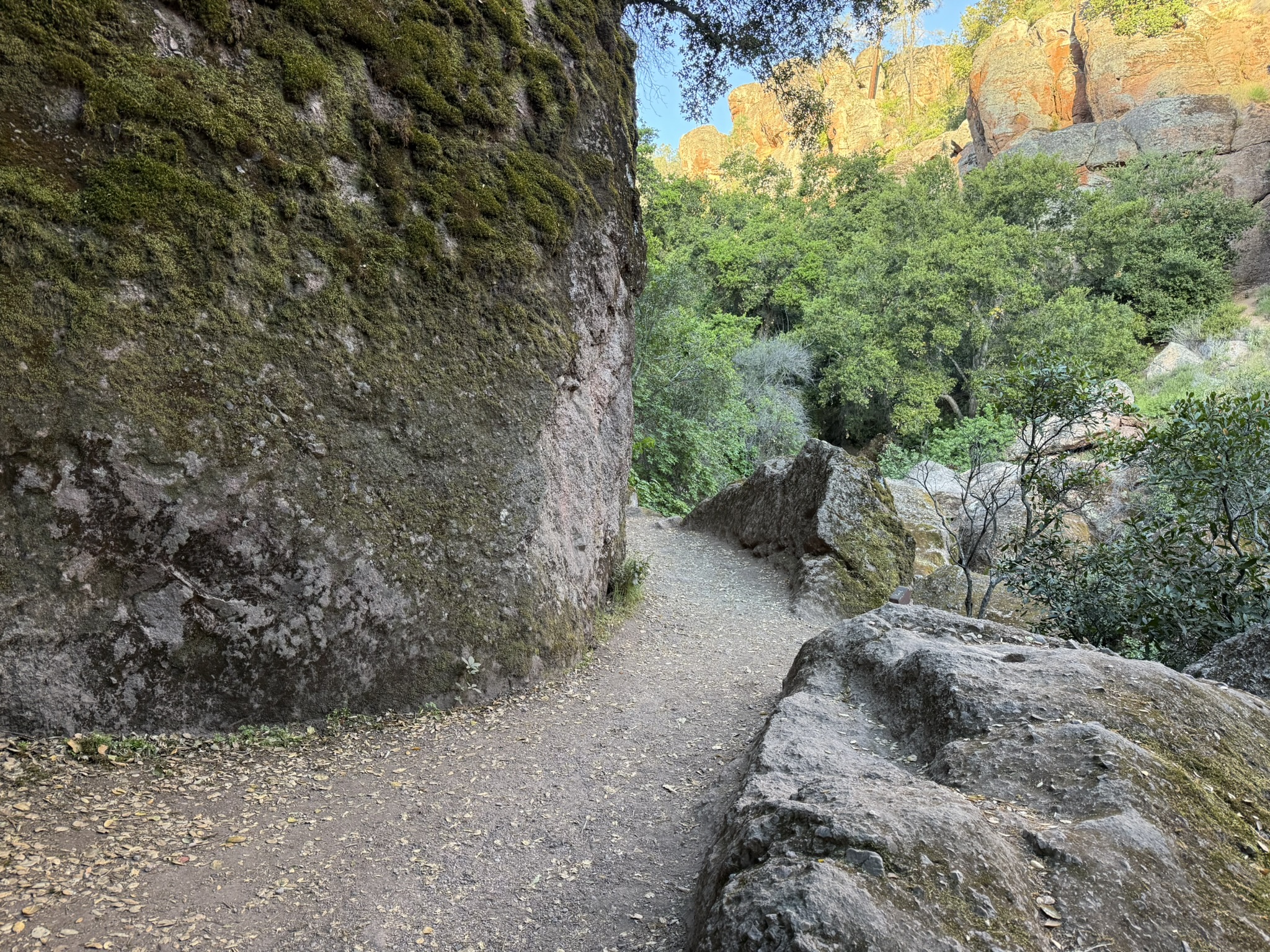 Pinnacles National Park