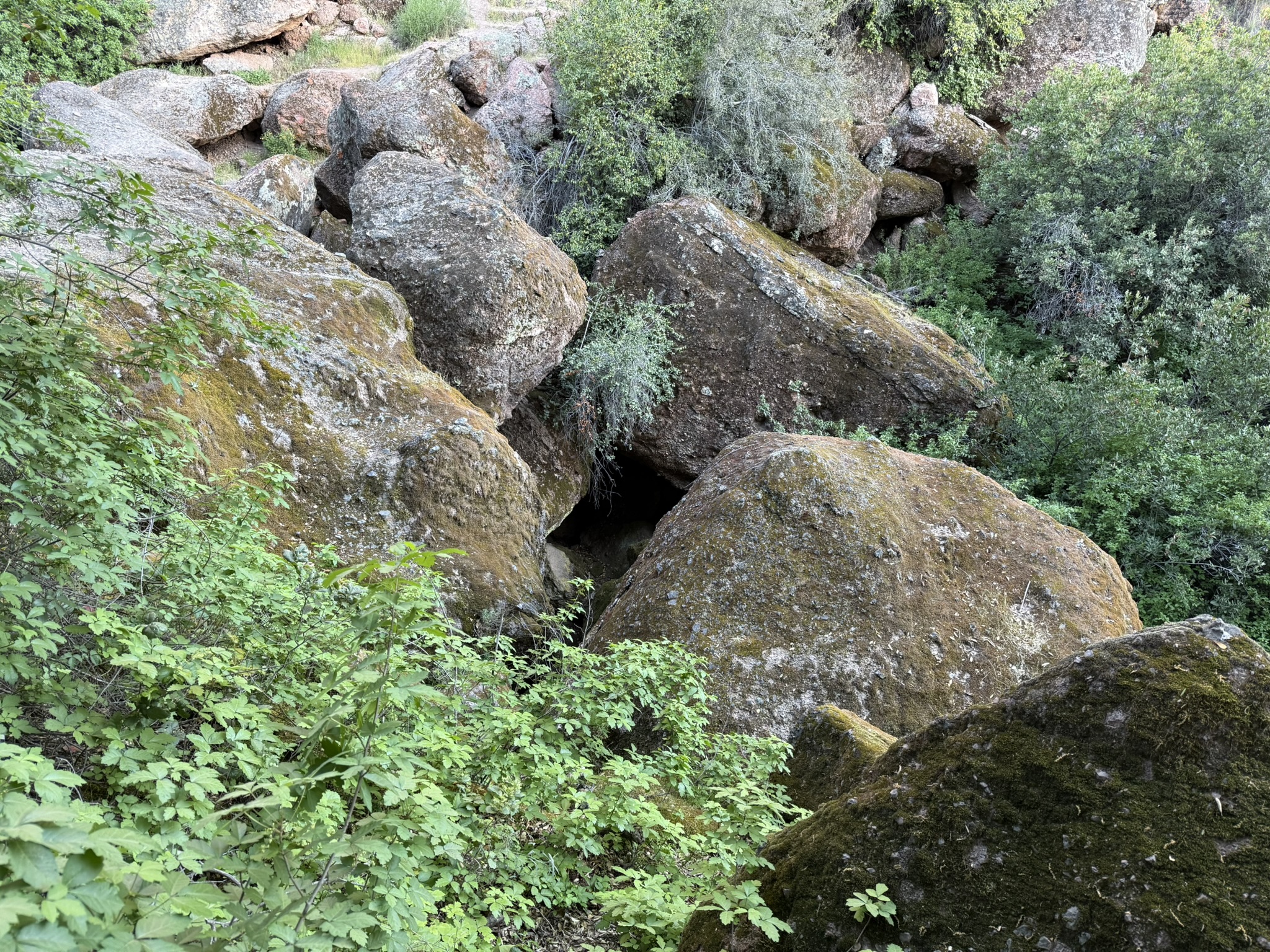 Pinnacles National Park