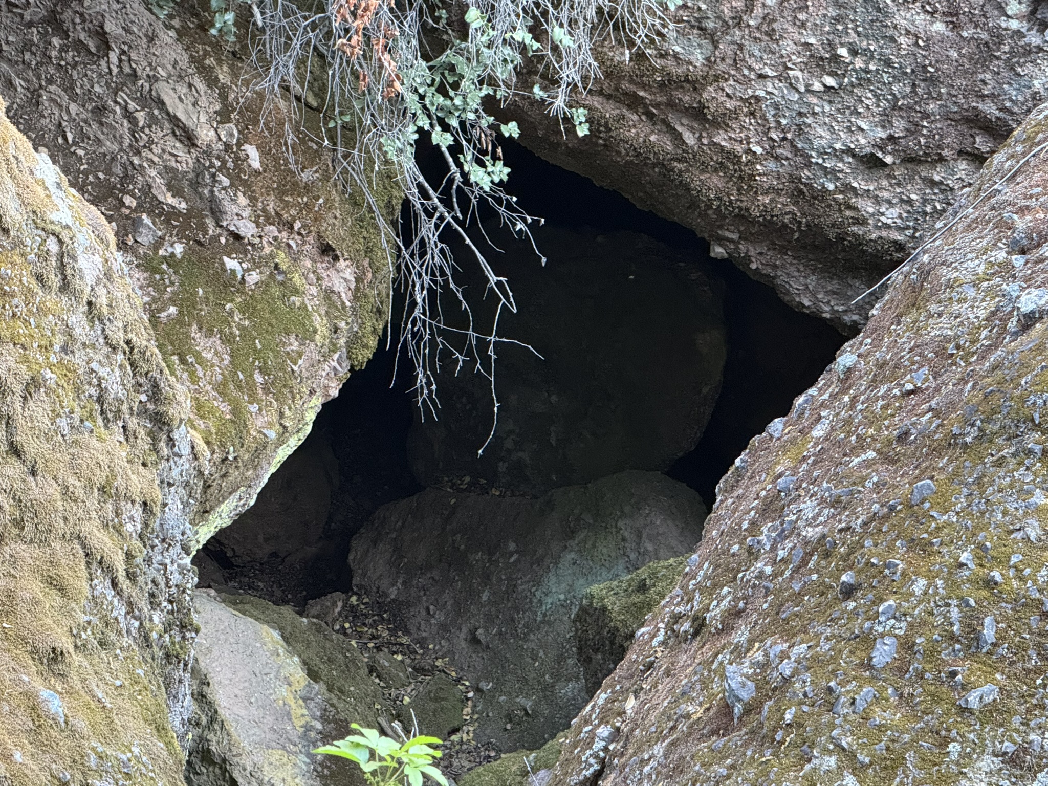 Pinnacles National Park