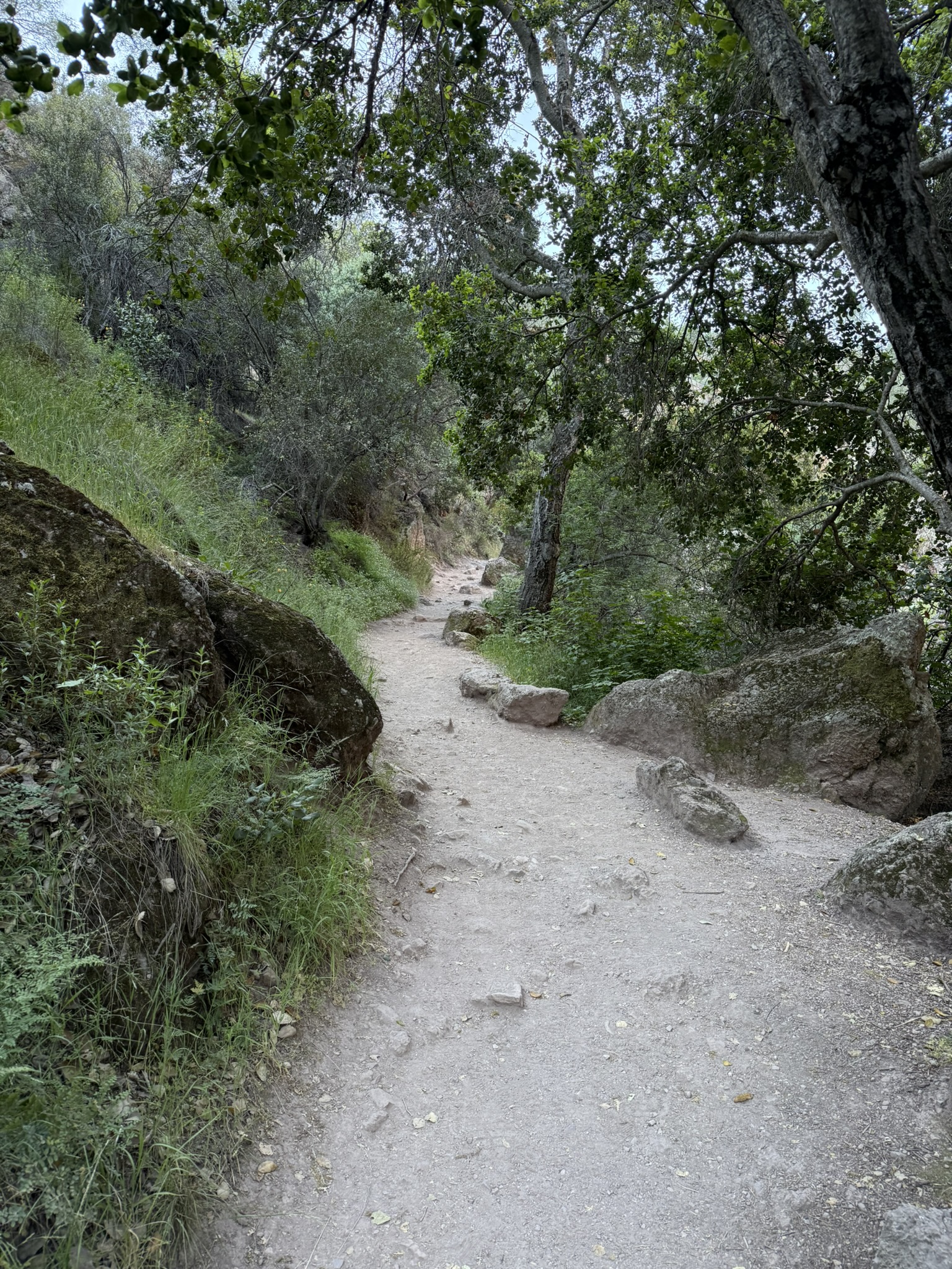 Pinnacles National Park