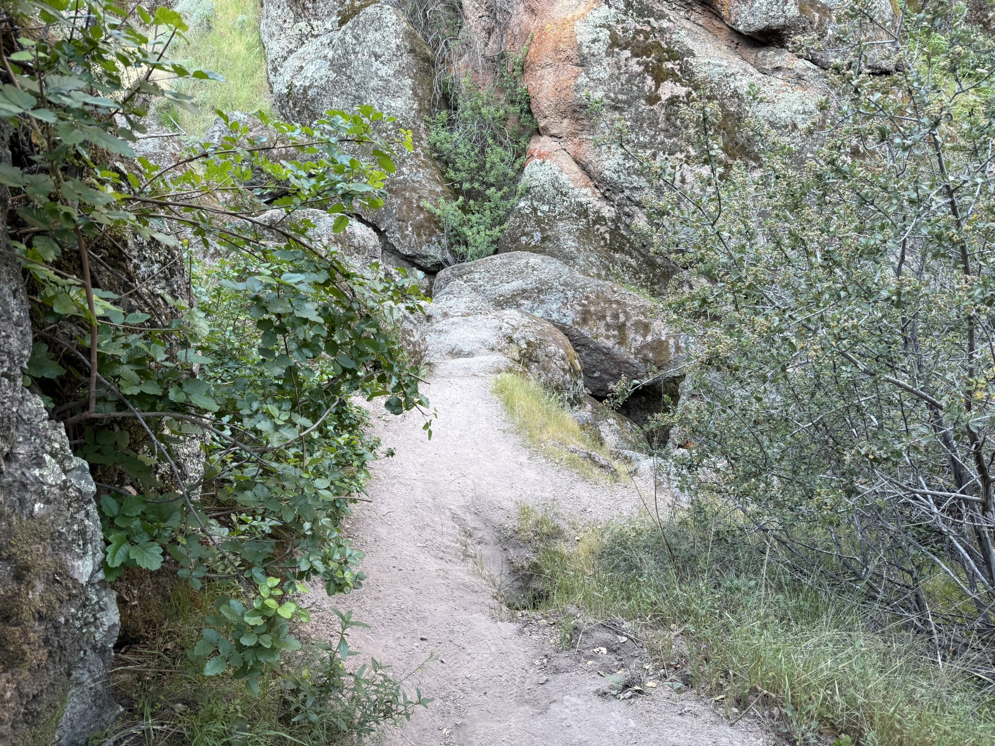 Pinnacles National Park