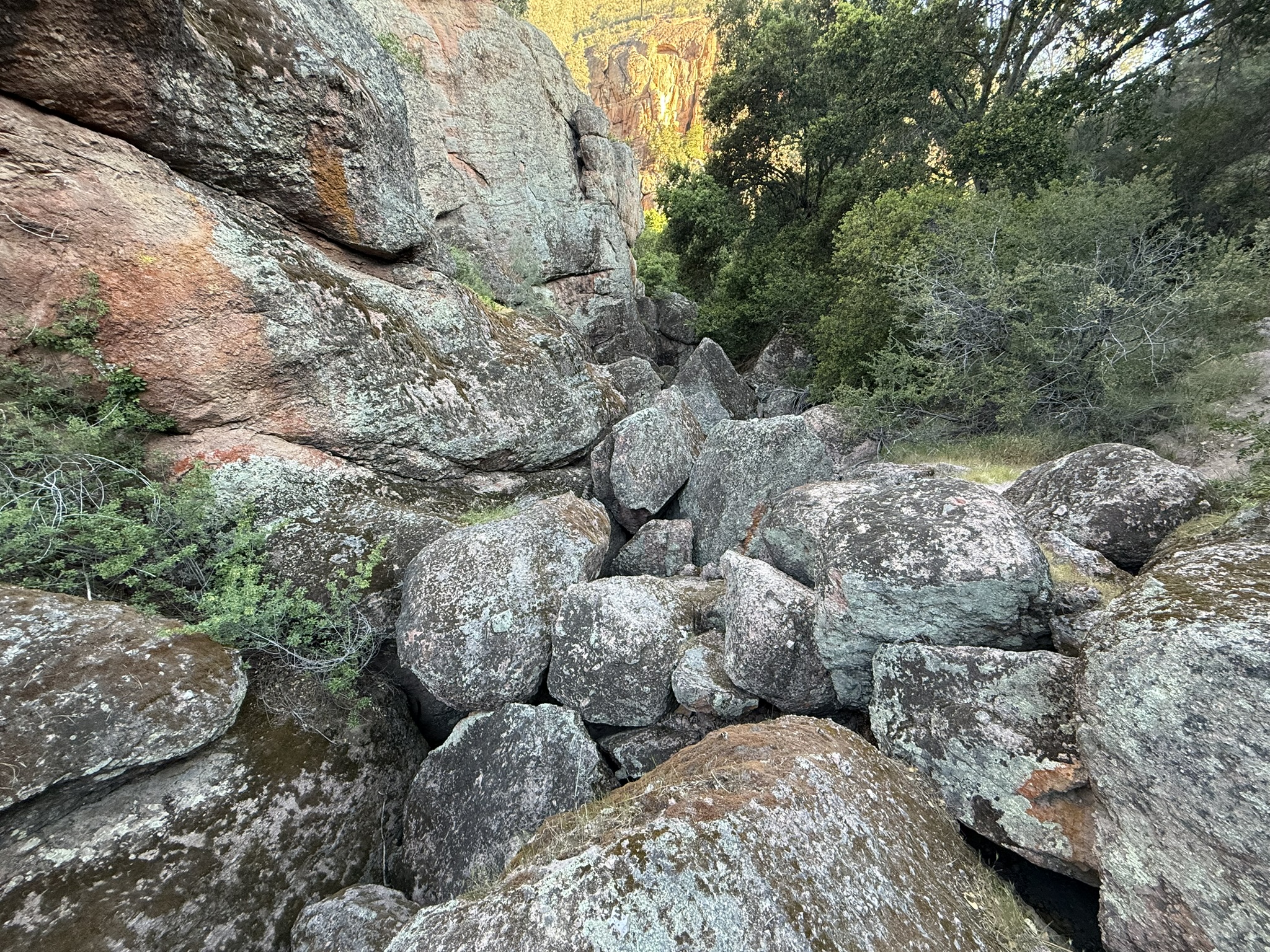 Pinnacles National Park
