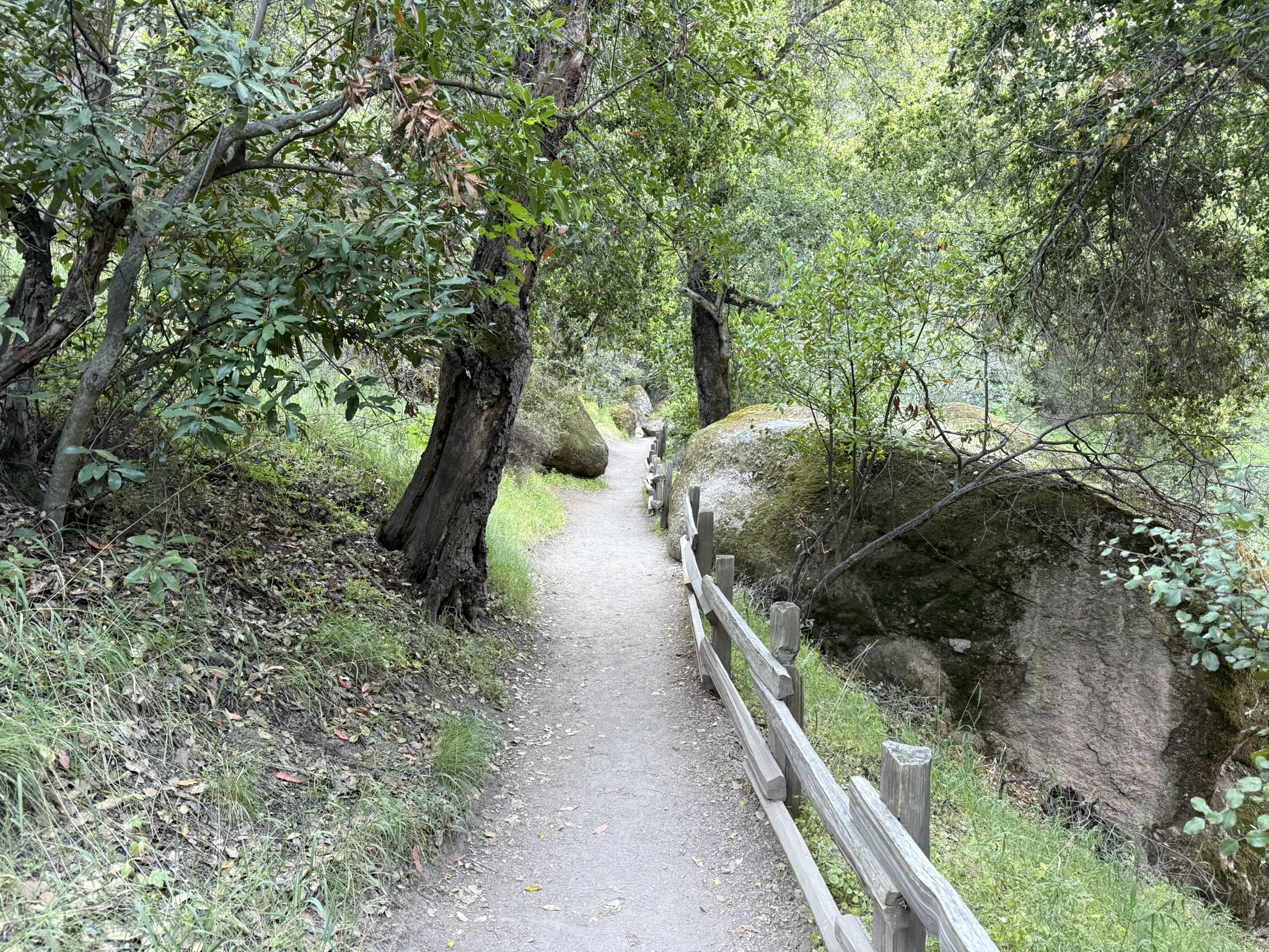 Pinnacles National Park