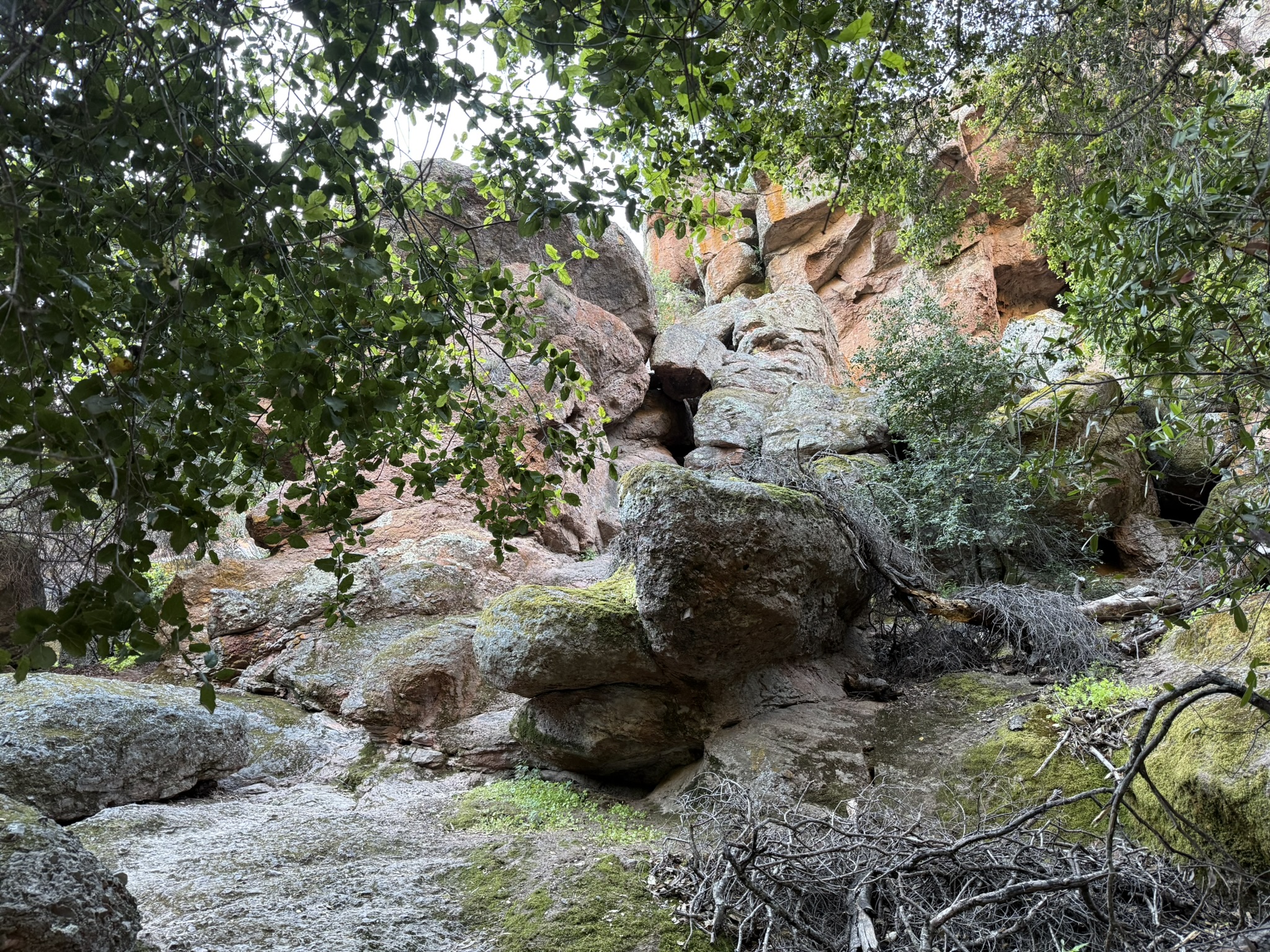 Pinnacles National Park