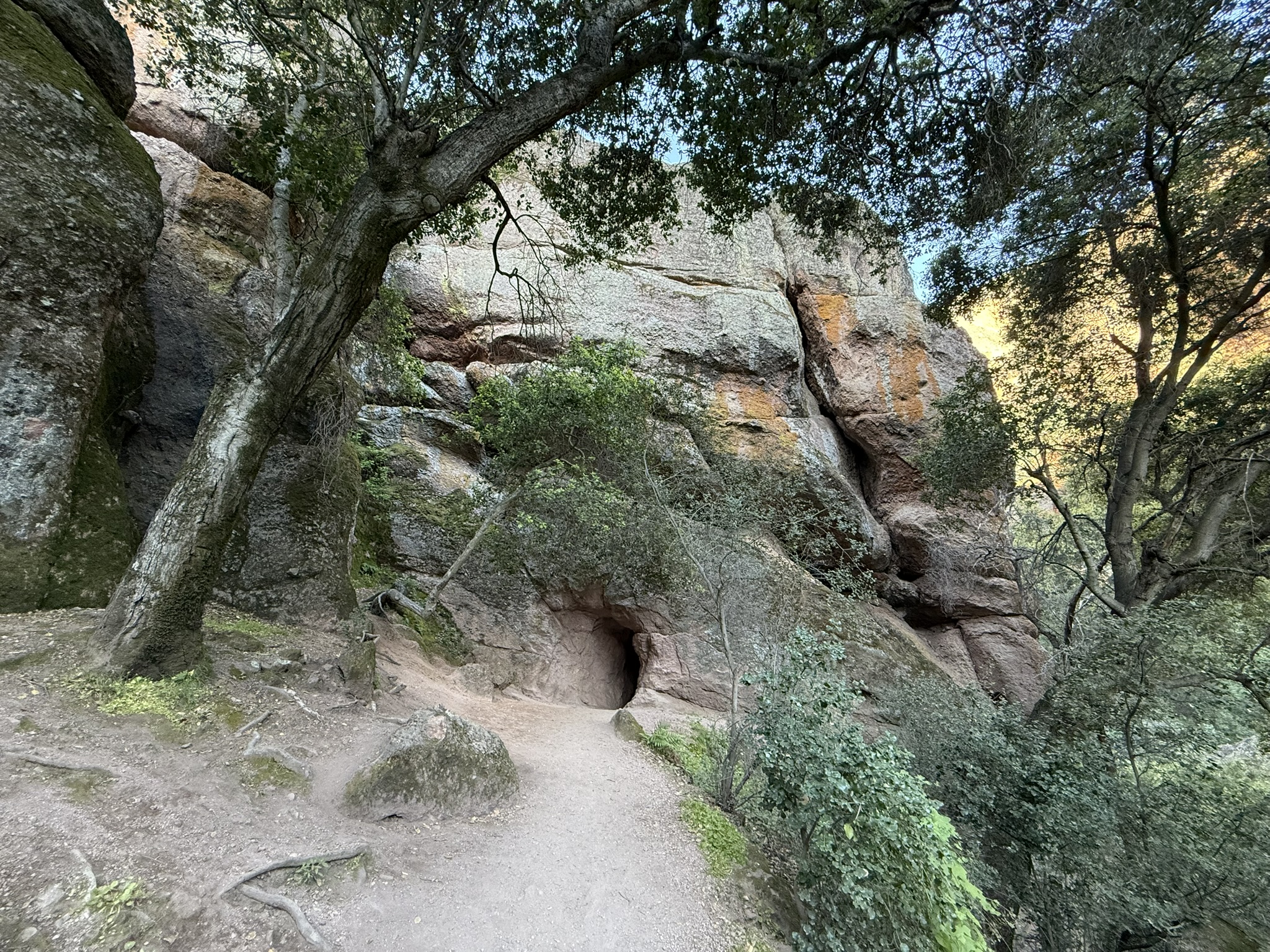 Pinnacles National Park