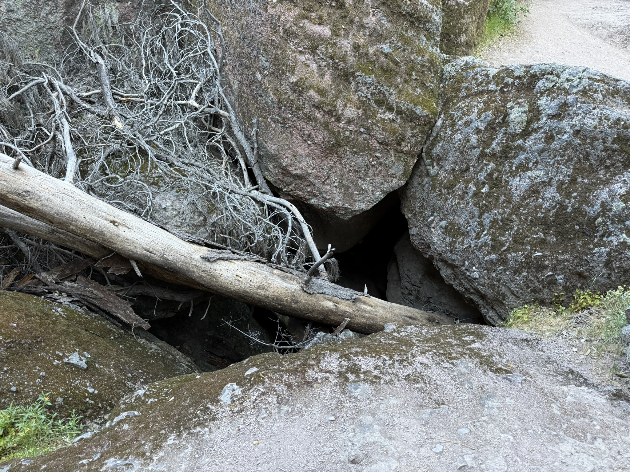 Pinnacles National Park
