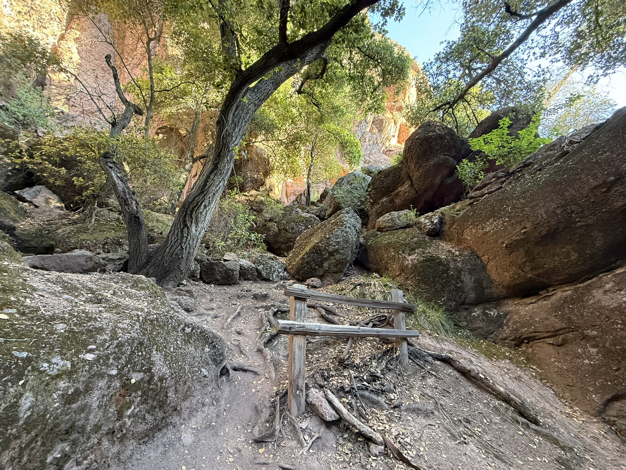 Pinnacles National Park