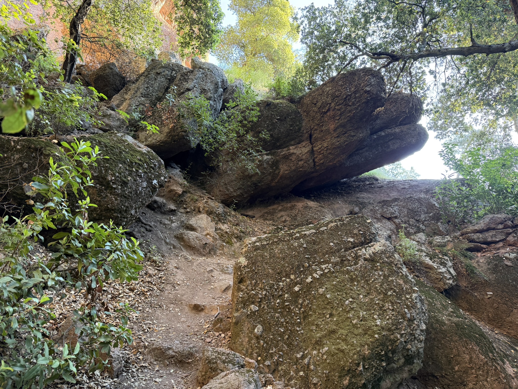 Pinnacles National Park