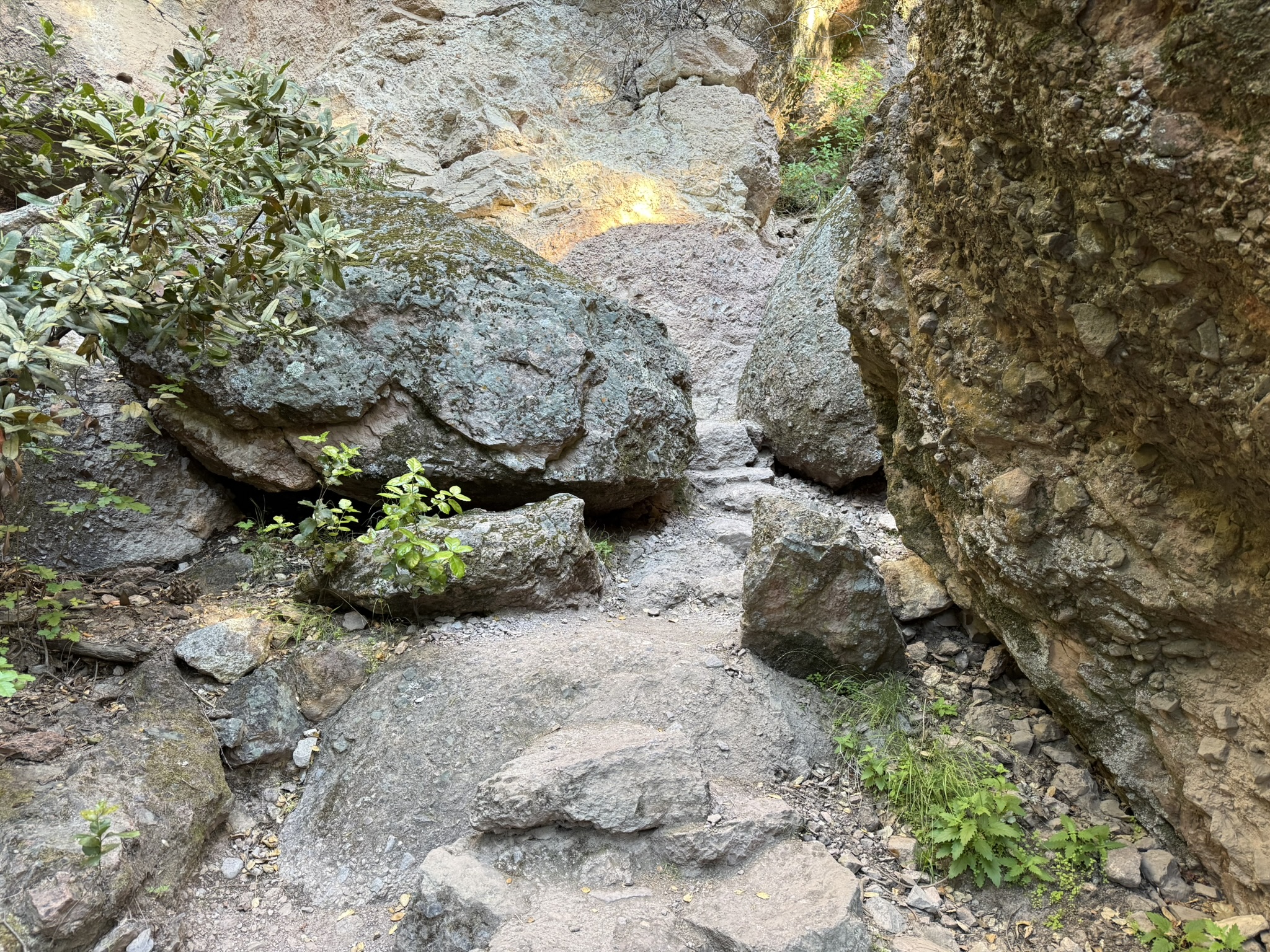 Pinnacles National Park