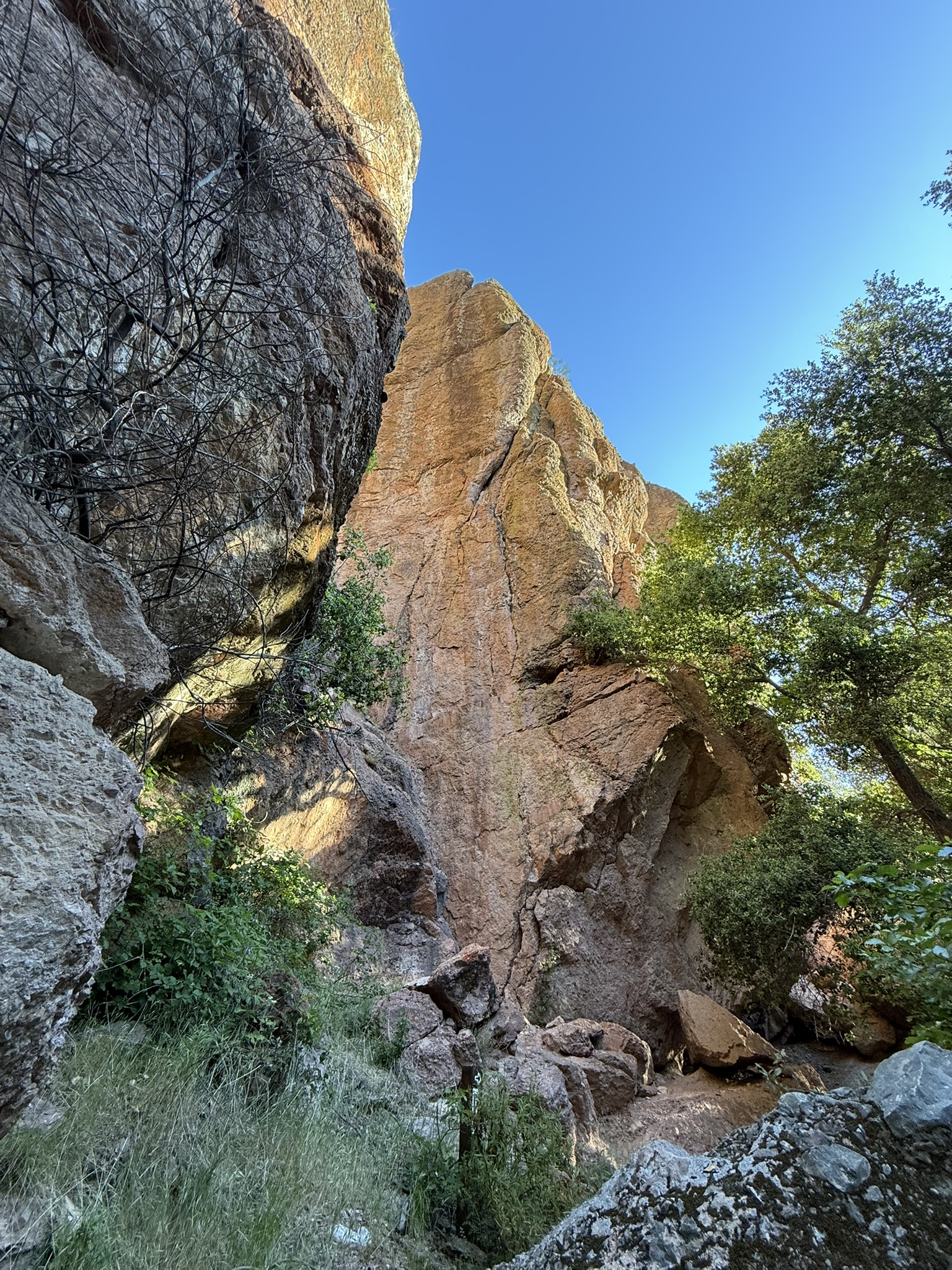 Pinnacles National Park