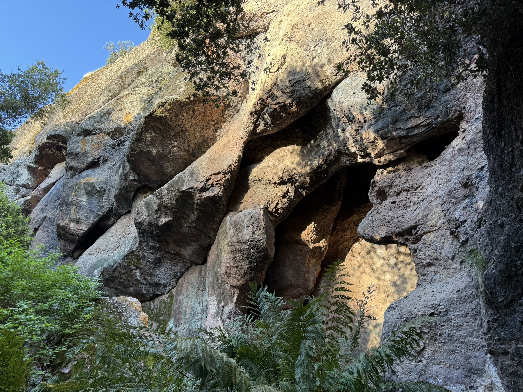 Pinnacles National Park